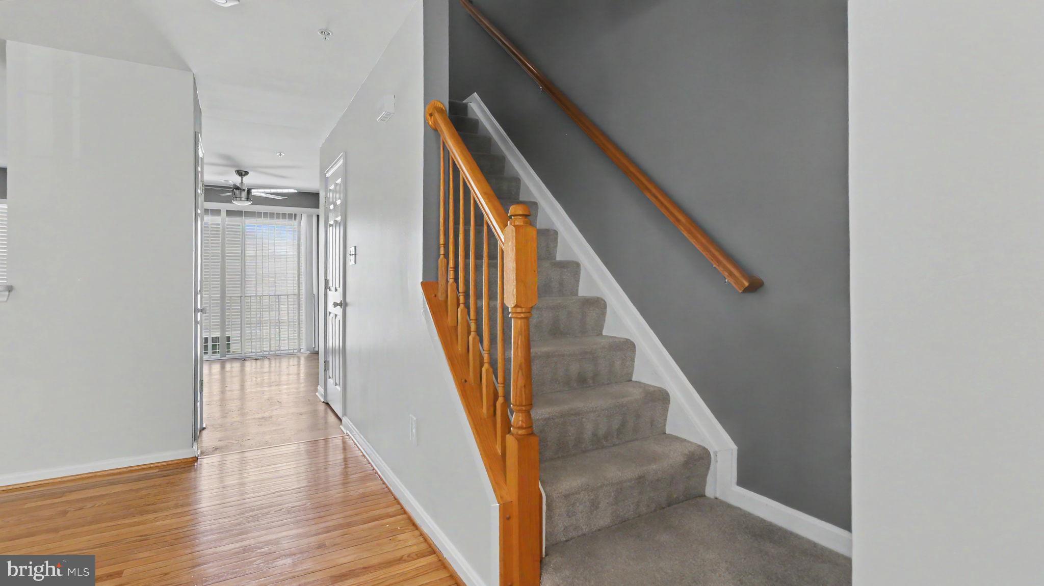 CHANEYS CHOICE - Residential