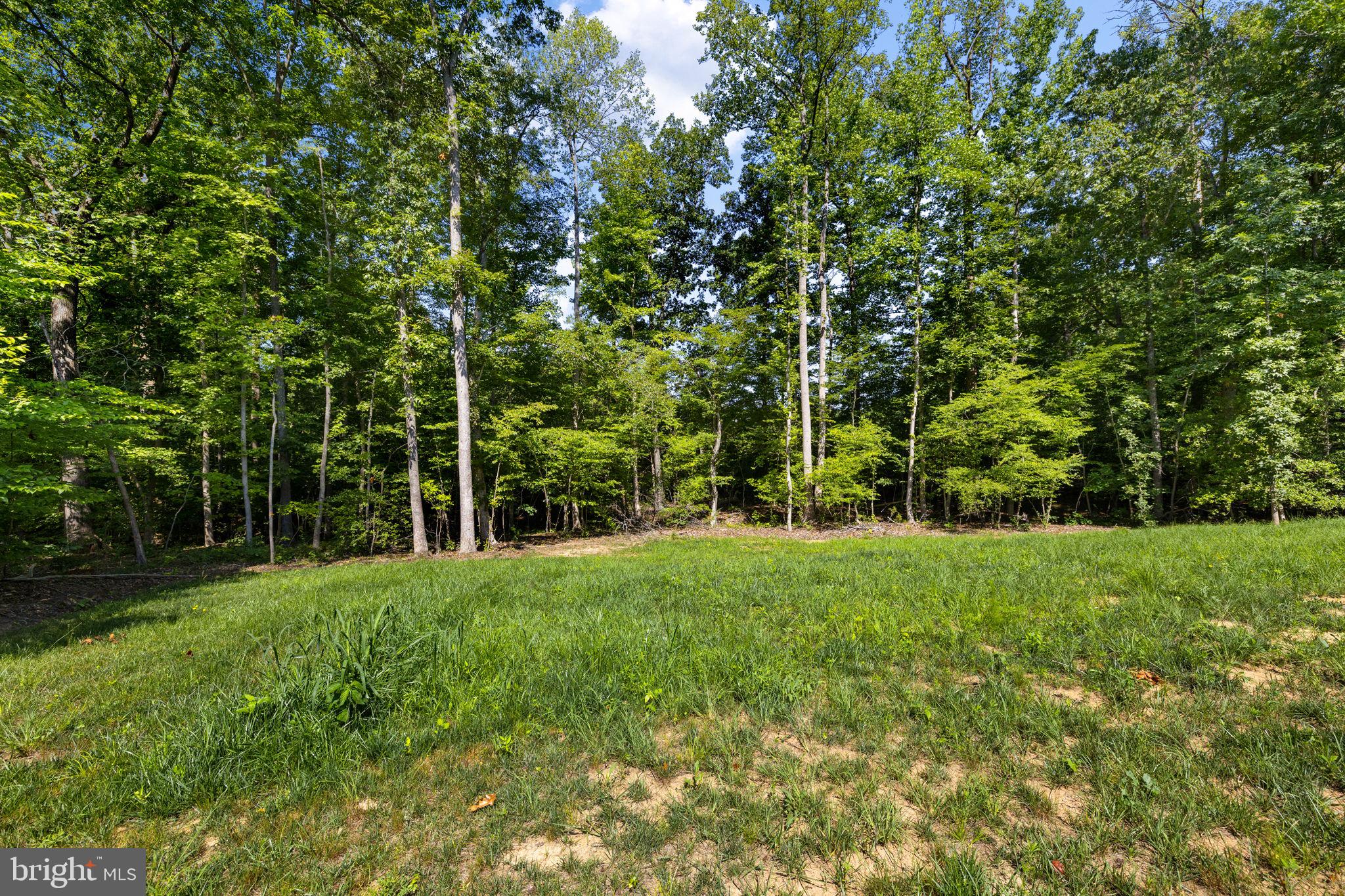 THE WATERS AT LAKE ANNA - Residential