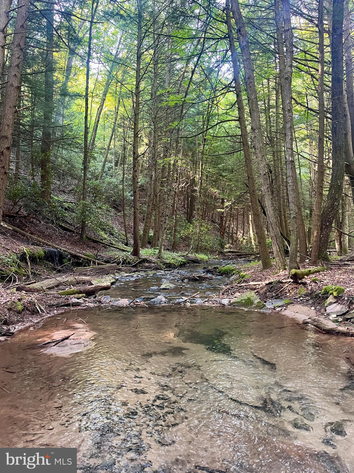 Spend more time in the beautiful woods of Clinton County! This is nearly 800 acres of serene paradise, adjacent to the beautiful, 300,000+ acre Sproul State forest, with everything you could dream of in an getaway to the great outdoors.
 Wildlife abounds, including deer, turkey, and black bear, and even the occasional elk! You'll find a creek bottom with a stream winding through old growth woods with your own private rail trail, solid gravel roads winding throughout providing an unusual level of convenient access, and an abundance of beautiful build sites with jaw-dropping views.
The privacy, the creek bottom and views make this parcel an incredible spot to create your off grid dream home. The property features about a mile of public road frontage and per the township ordinance can be subdivided down to 20 acre parcels. Despite the remote nature of the property, convenience stores are about 20 minutes away to provide for your needs, as well as Howard Lake for water sports and fishing, and endless trails for dirt biking, ATVs, and snowmobiling providing loads of outdoor fun for non hunters. Perc tests have been passed on a couple sites on the property, however, the nearest power lines are about two miles away with costs estimated at about 24$ per foot to run power, making an off grid setup likely the most practical option for a home. Take this opportunity to own your own piece of paradise!
Seller will consider offering seller financing, with a minimum of 30% down for a qualified buyer.