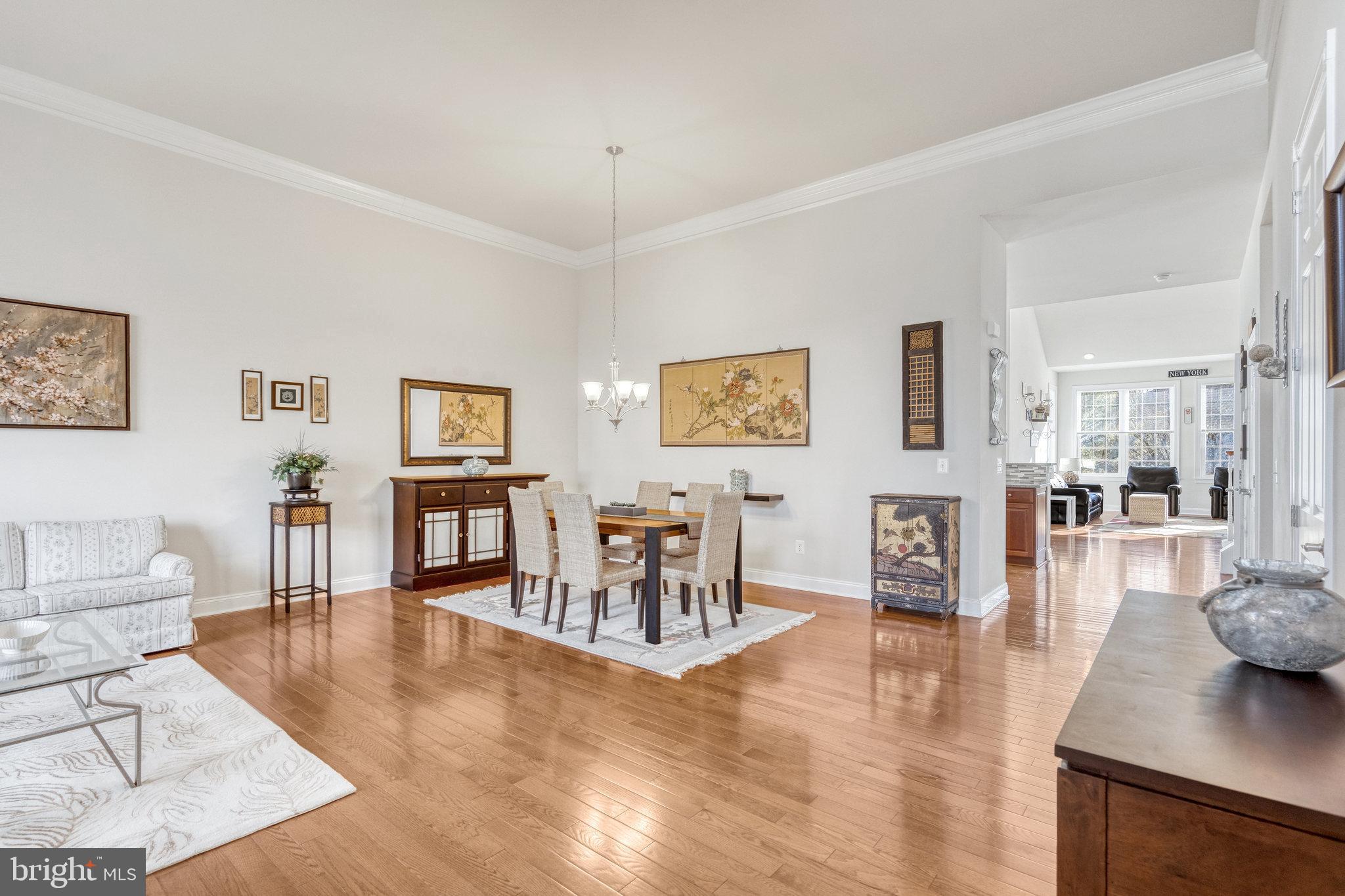REGENCY AT DOMINION VALLEY - Residential