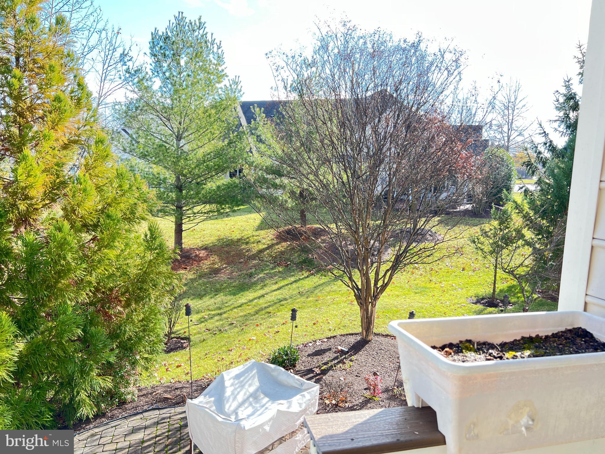 REGENCY AT DOMINION VALLEY - Residential