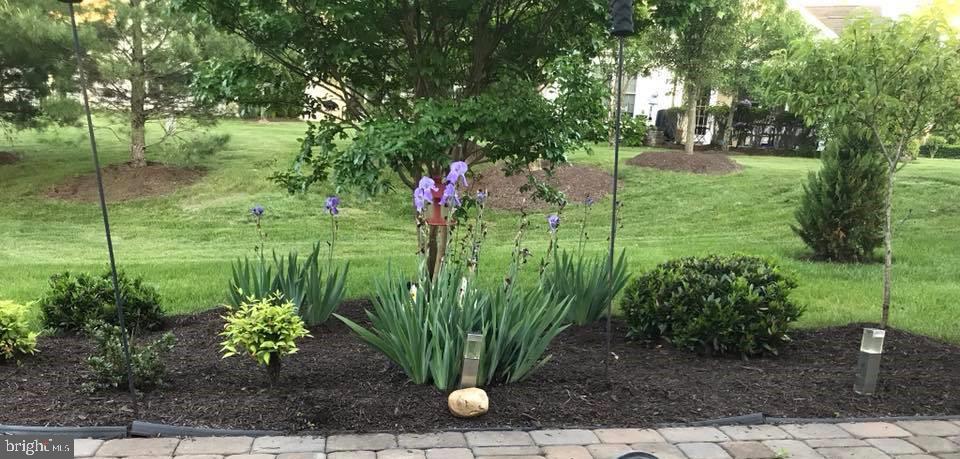 REGENCY AT DOMINION VALLEY - Residential