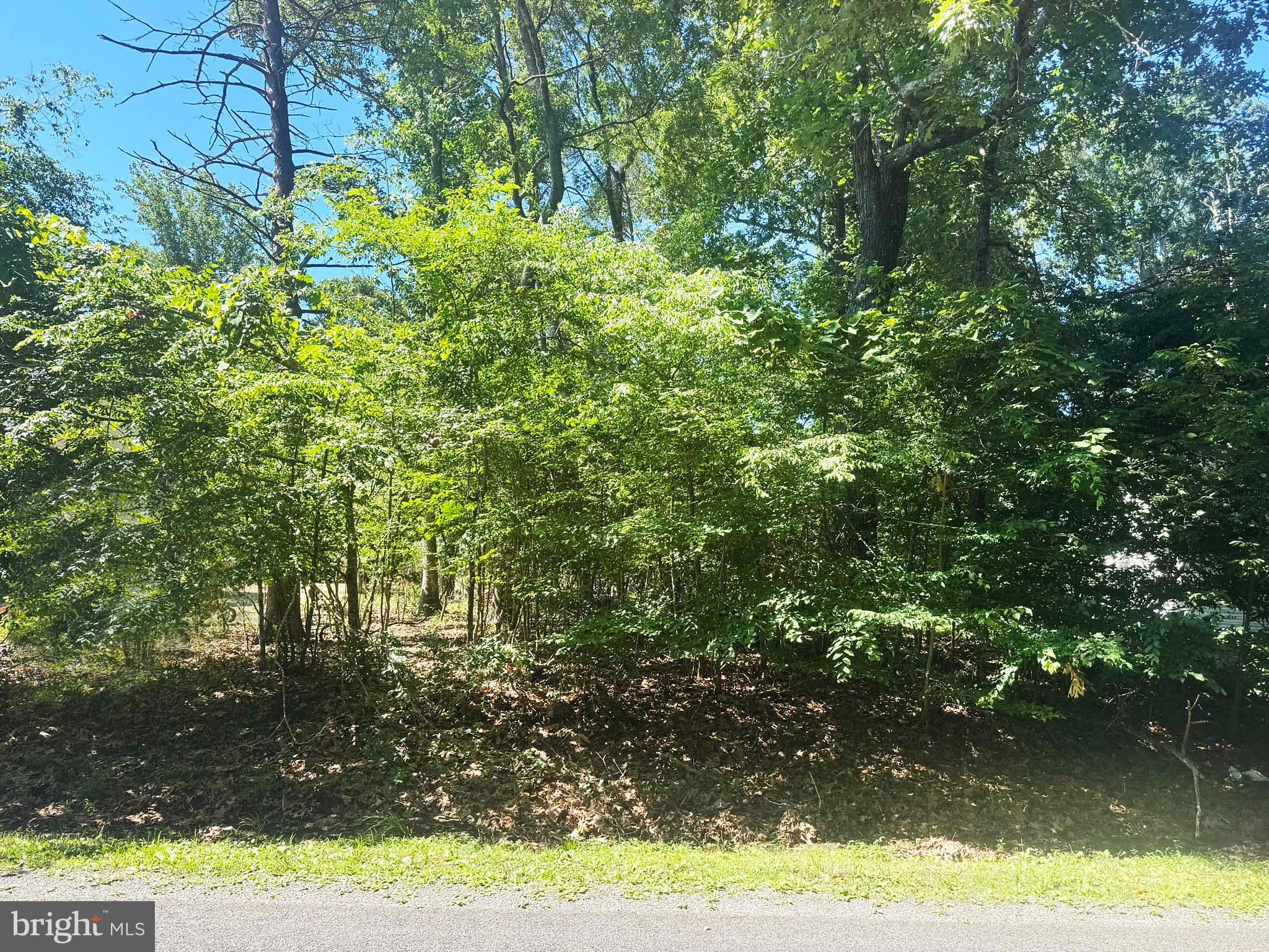 This nearly quarter-acre lot offers the perfect canvas for your custom home or investment property in the desirable Captain's Cove resort community. With no builder tie-in, you have complete freedom to choose your own contractor and bring your vision to life exactly as you imagine it. Whether you're planning a personal retreat or a smart investment in this sought-after location, this lot gives you the flexibility and space to create something special. Start Enjoying all of Captain's Cove's features including indoor & outdoor pools, a restaurant, banquette rooms, fitness center, basketball & tennis courts, boat launch, playground, security & so much more!