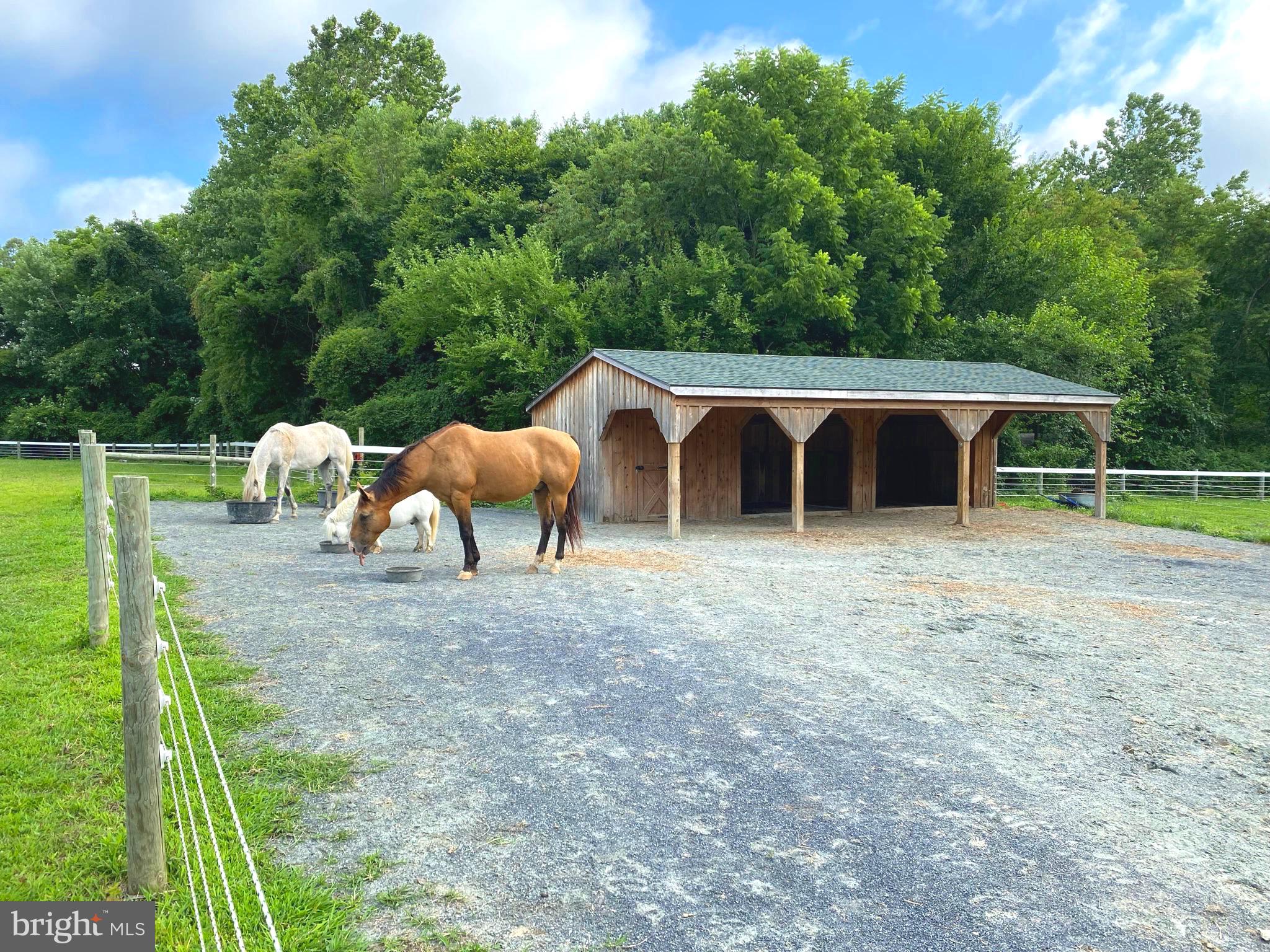 EASTON - Farm
