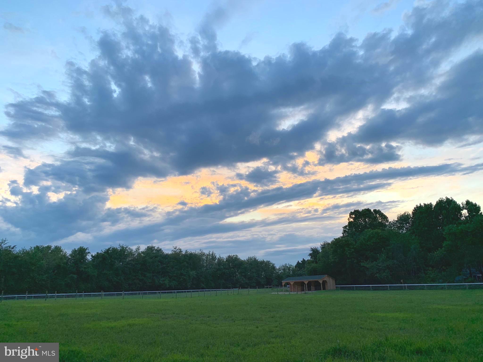 EASTON - Farm