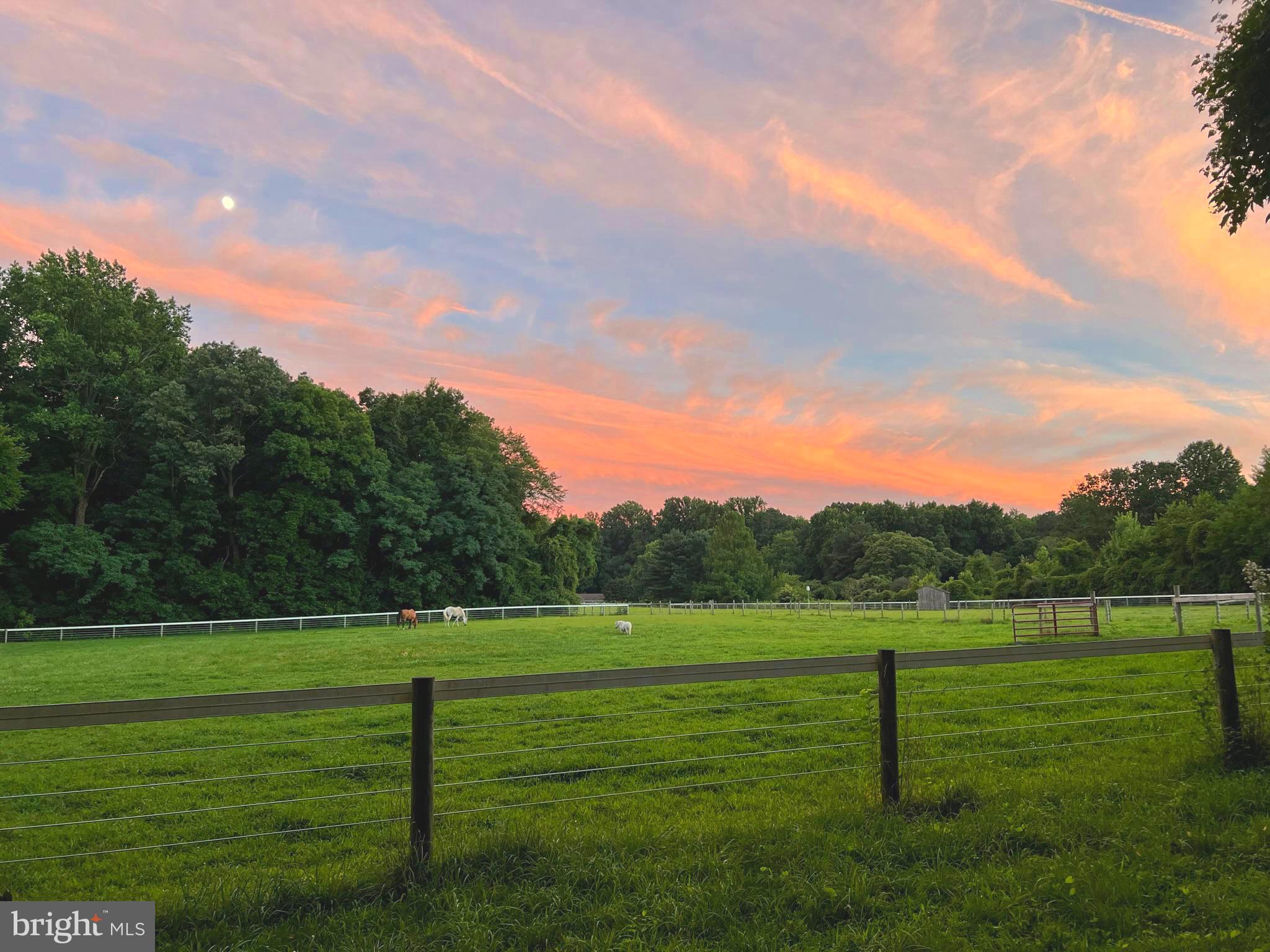 EASTON - Farm