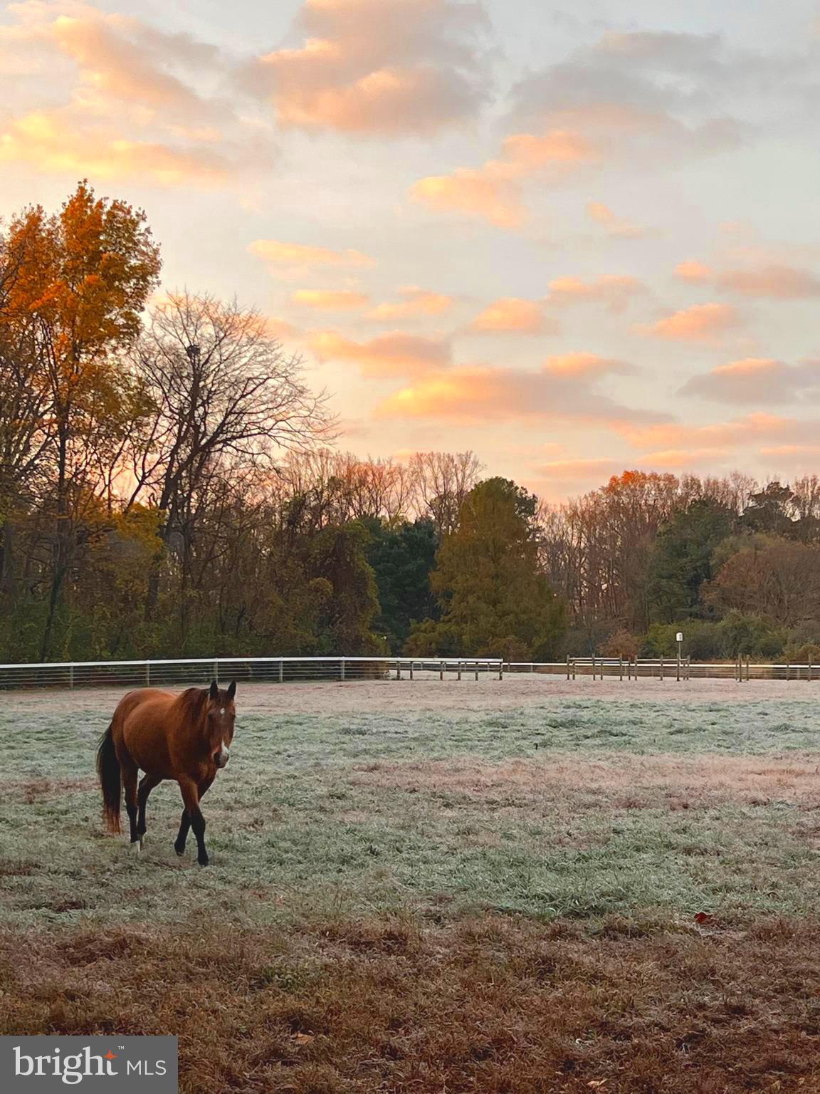 EASTON - Farm