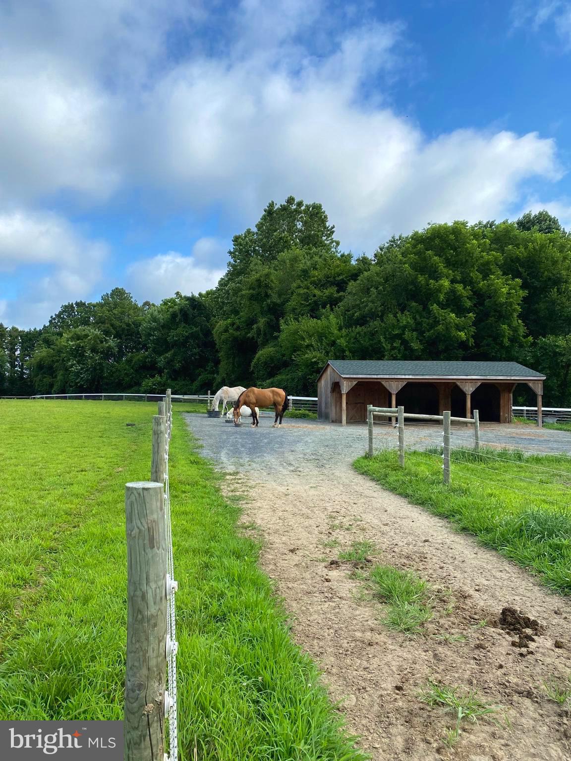 EASTON - Farm