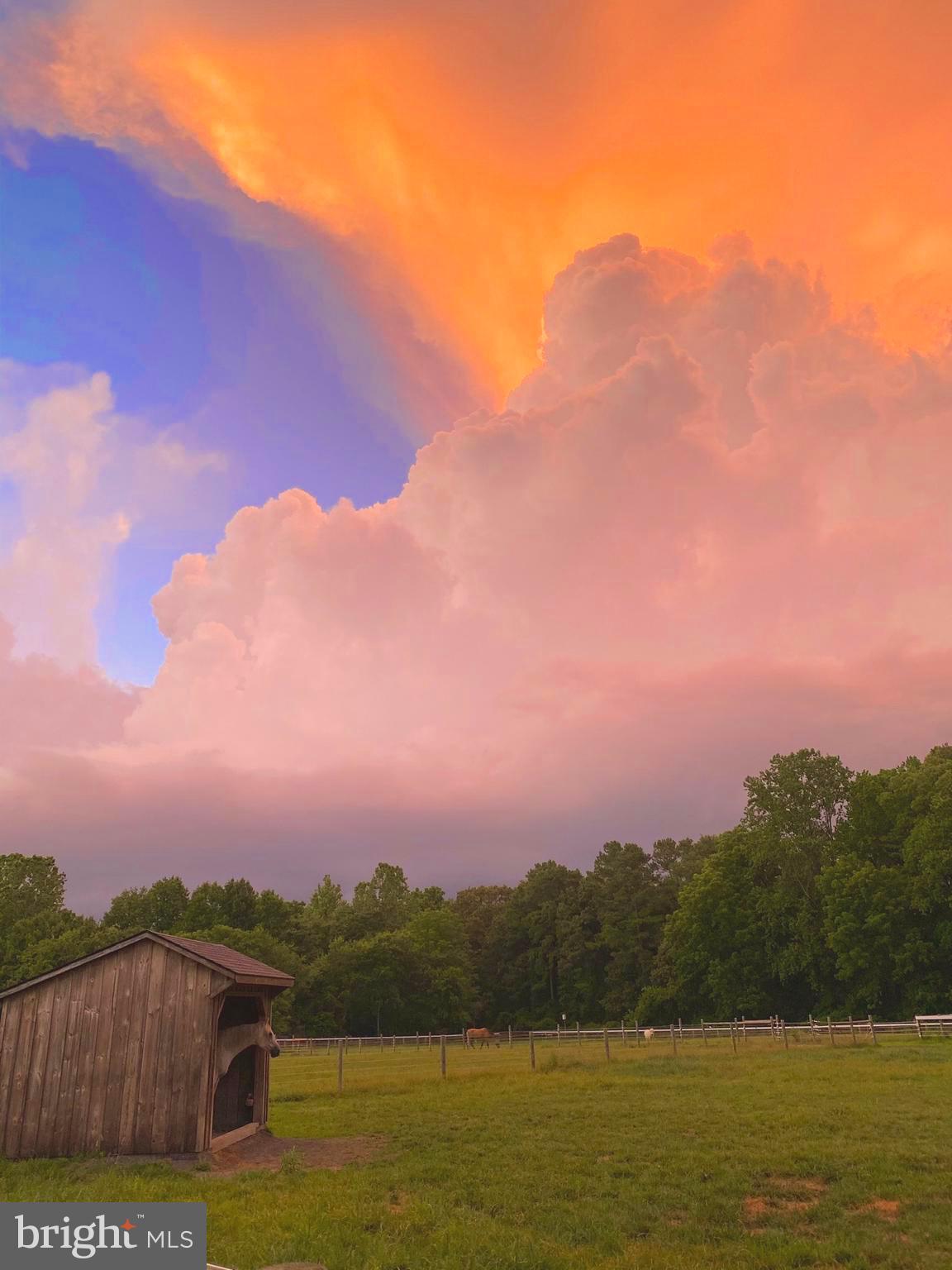 EASTON - Farm