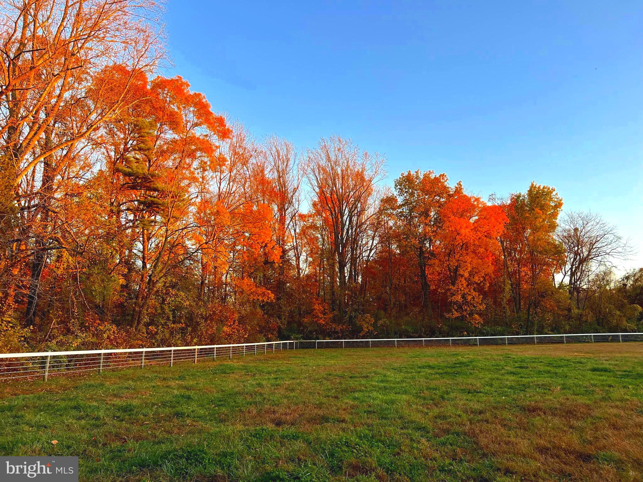 EASTON - Farm
