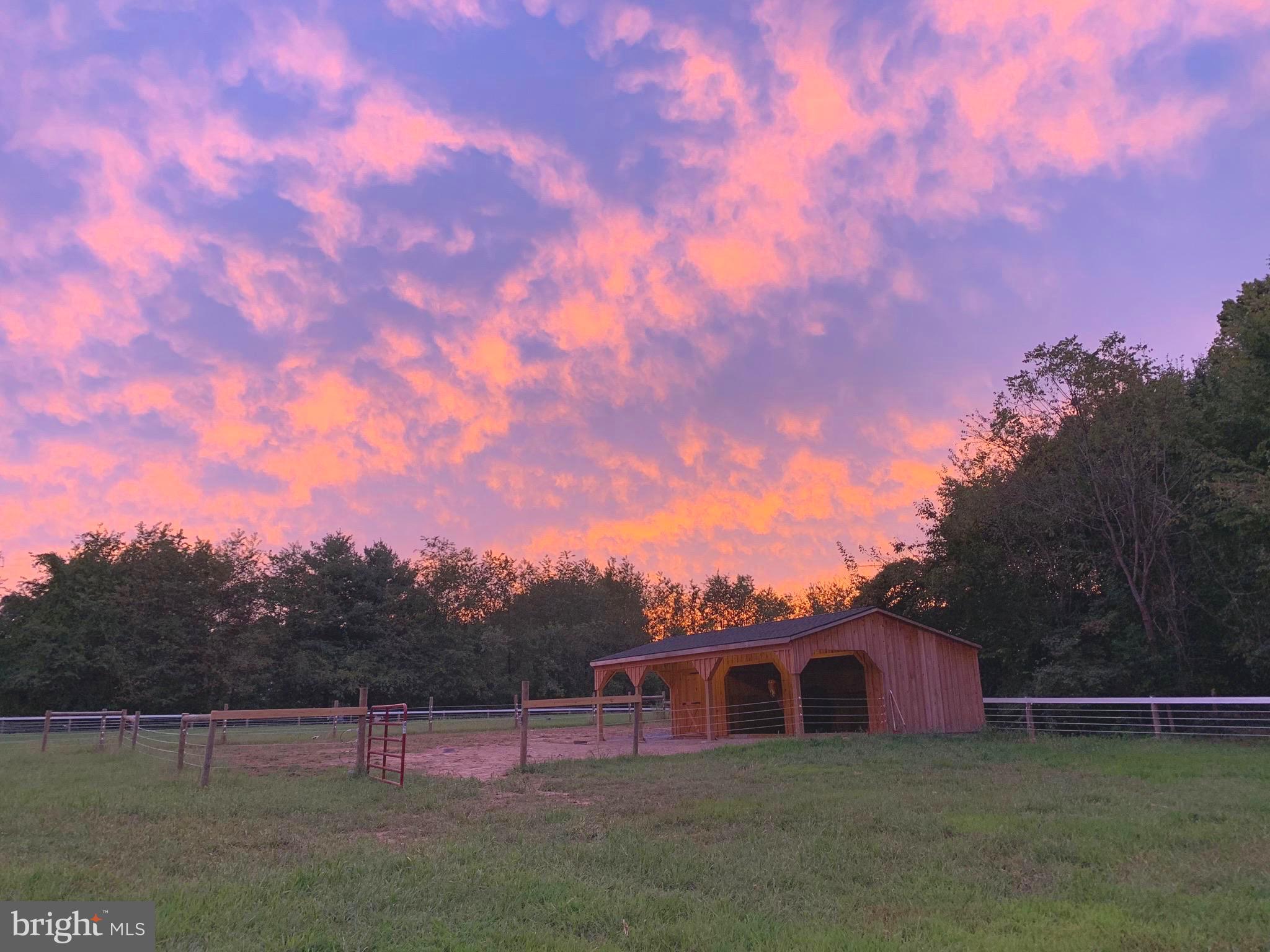 EASTON - Farm