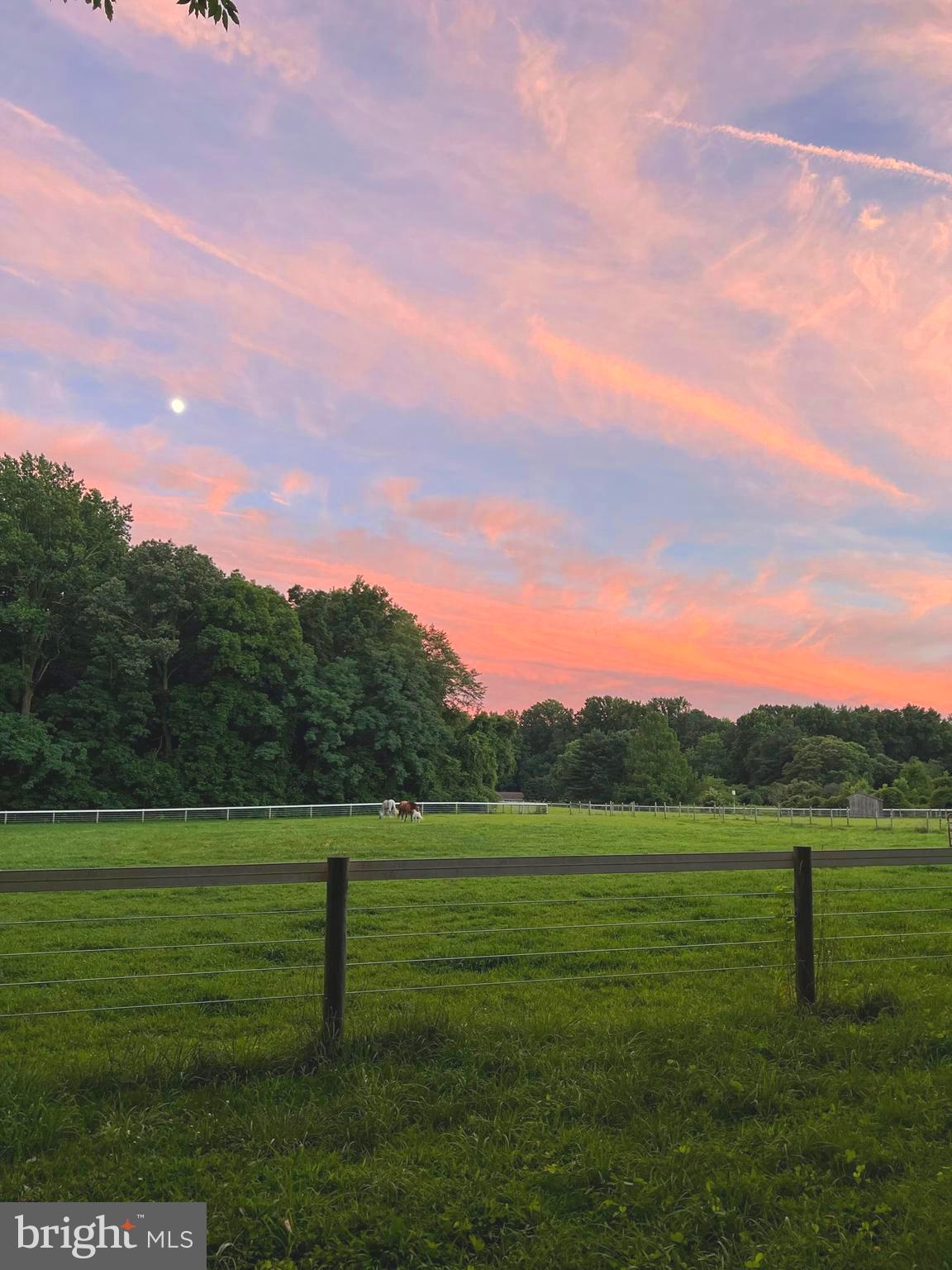 EASTON - Farm