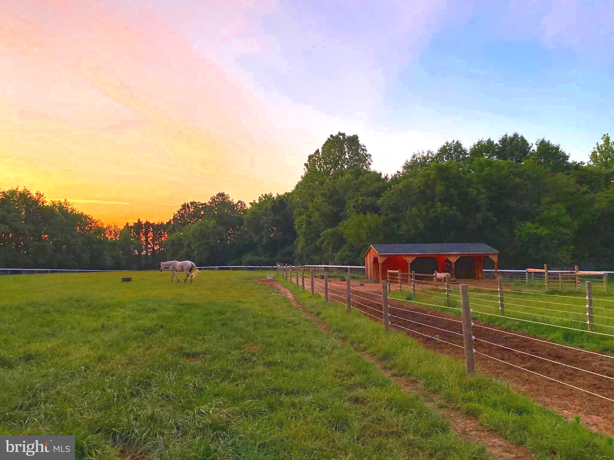 EASTON - Farm
