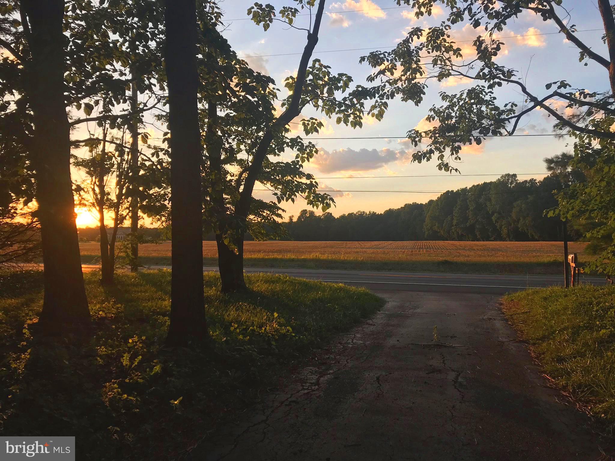 EASTON - Farm