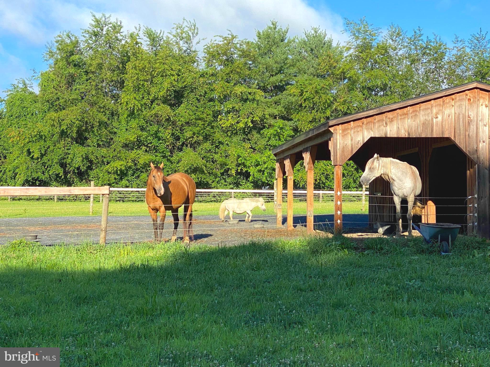 EASTON - Farm