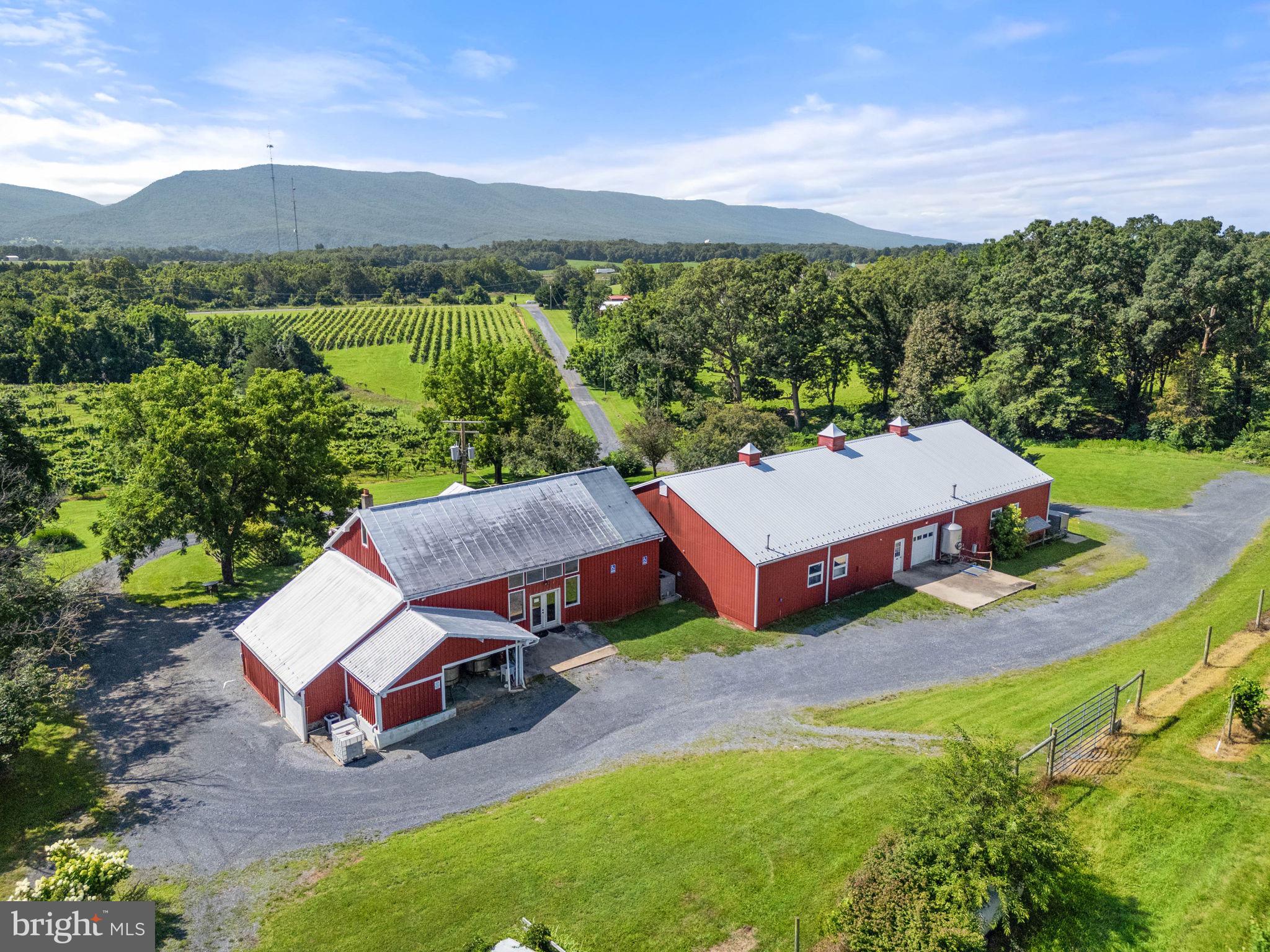 Where History Pours into Every Glass: Discover Shenandoah Vineyards
Don't miss this opportunity to shape the next chapter of Virginia wine country!

Nestled in the heart of the Shenandoah Valley AVA, just 70 miles from Washington, DC and minutes from I-81, Shenandoah Vineyards is the oldest operating winery in Virginia. This iconic property offers more than land and buildings — it provides legacy, charm, and limitless potential.  

Set on 27 gently rolling acres with over 11 acres of mature vines with room to expand to up to 15 acres under vine, the vineyard has a proven terroir and track record under current ownership. Since 2022, it has garnered 13 Gold Medals and a Case-Winning entry at the prestigious Governor’s Cup.

Production currently averages 3,000 cases per year, with facilities in place to scale up to 10,000 cases. The heart of the property is a 12,000+ sq ft winery featuring a rustic tasting room, a naturally climate-controlled barrel room, production space, and warehouse storage. Outdoor seating provides stunning panoramic views of the vineyard and surrounding mountains. Contract winemaking and vineyard management services are available, offering a fully turnkey operation.

A beautifully preserved c.1850 two-story log farmhouse sits on-site with over 2,100 square feet, exposed beams, and serene mountain views. Perfect as a private residence, vineyard manager’s quarters, or as an inviting bed-and-breakfast for wine lovers seeking a weekend escape.

Sales price includes farm and wine making equipment (a $200,000 value) and winery personal property, making this a truly turn key property.

With the Shenandoah River, Brice Resort, Skyline Drive, and National Park just minutes away, this property is more than a winery—it's a destination. Whether you're a seasoned vintner, a hospitality visionary, or an investor seeking a legacy project, Shenandoah Vineyards offers charm, scalability, and endless potential.
Don't miss this opportunity to shape the next chapter of Virginia wine country.