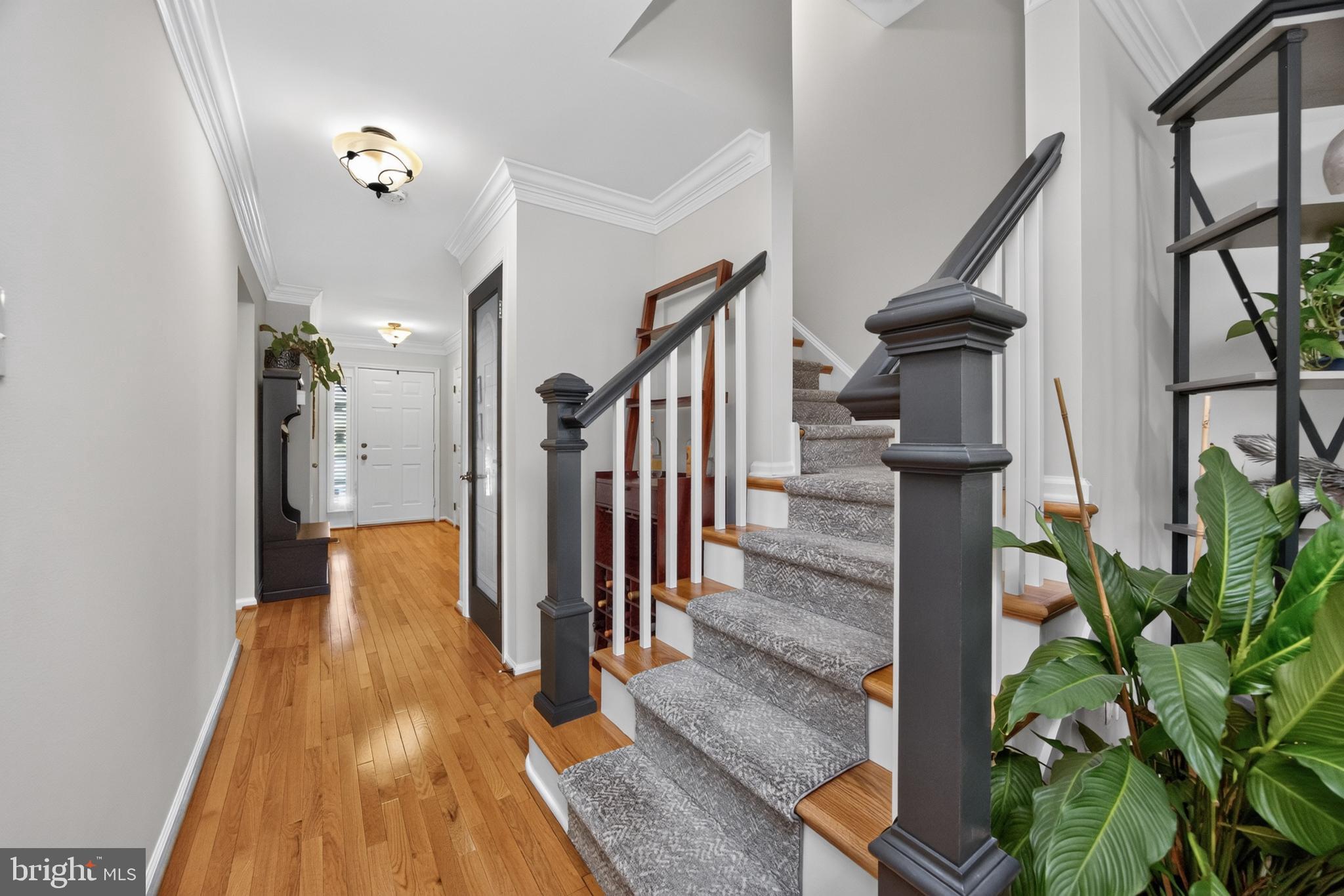 FOX RIDGE - Residential