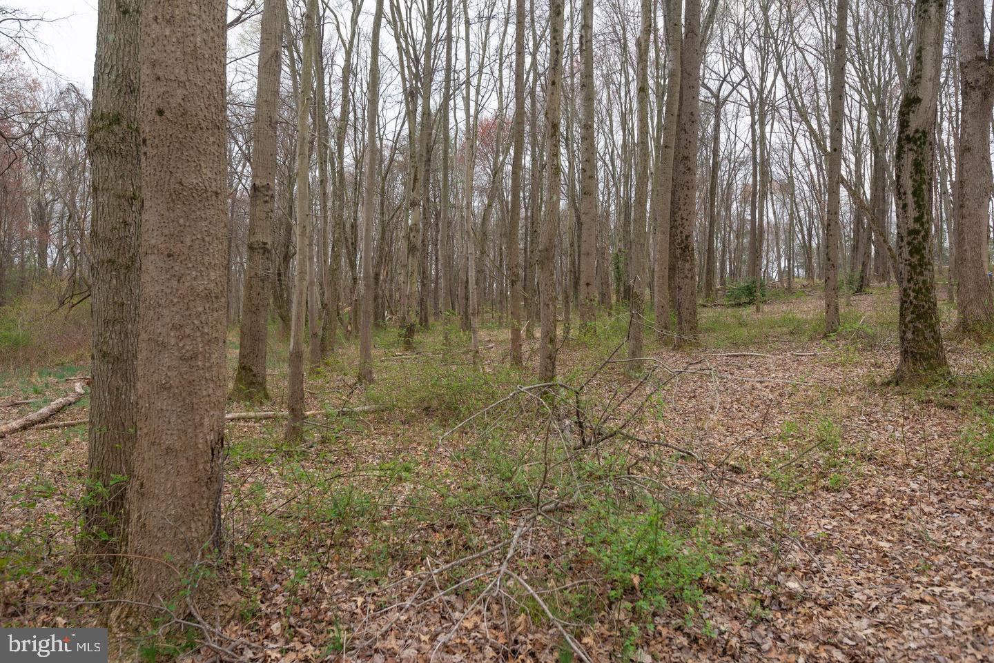 BEALLSVILLE - Farm