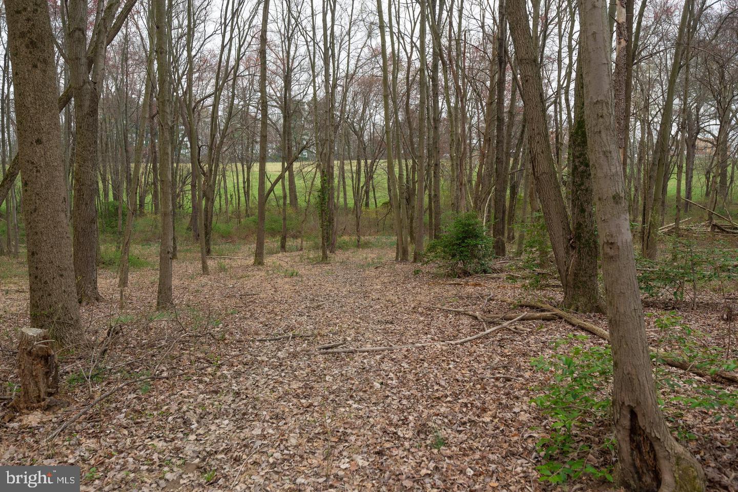 BEALLSVILLE - Farm