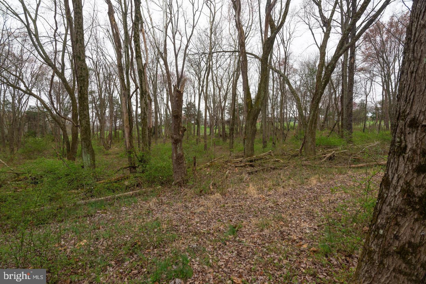 BEALLSVILLE - Farm