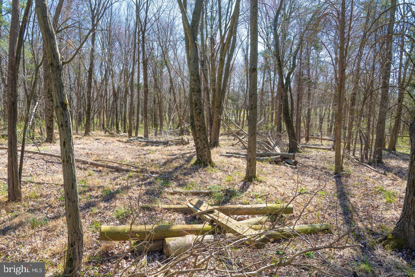 BEALLSVILLE - Farm
