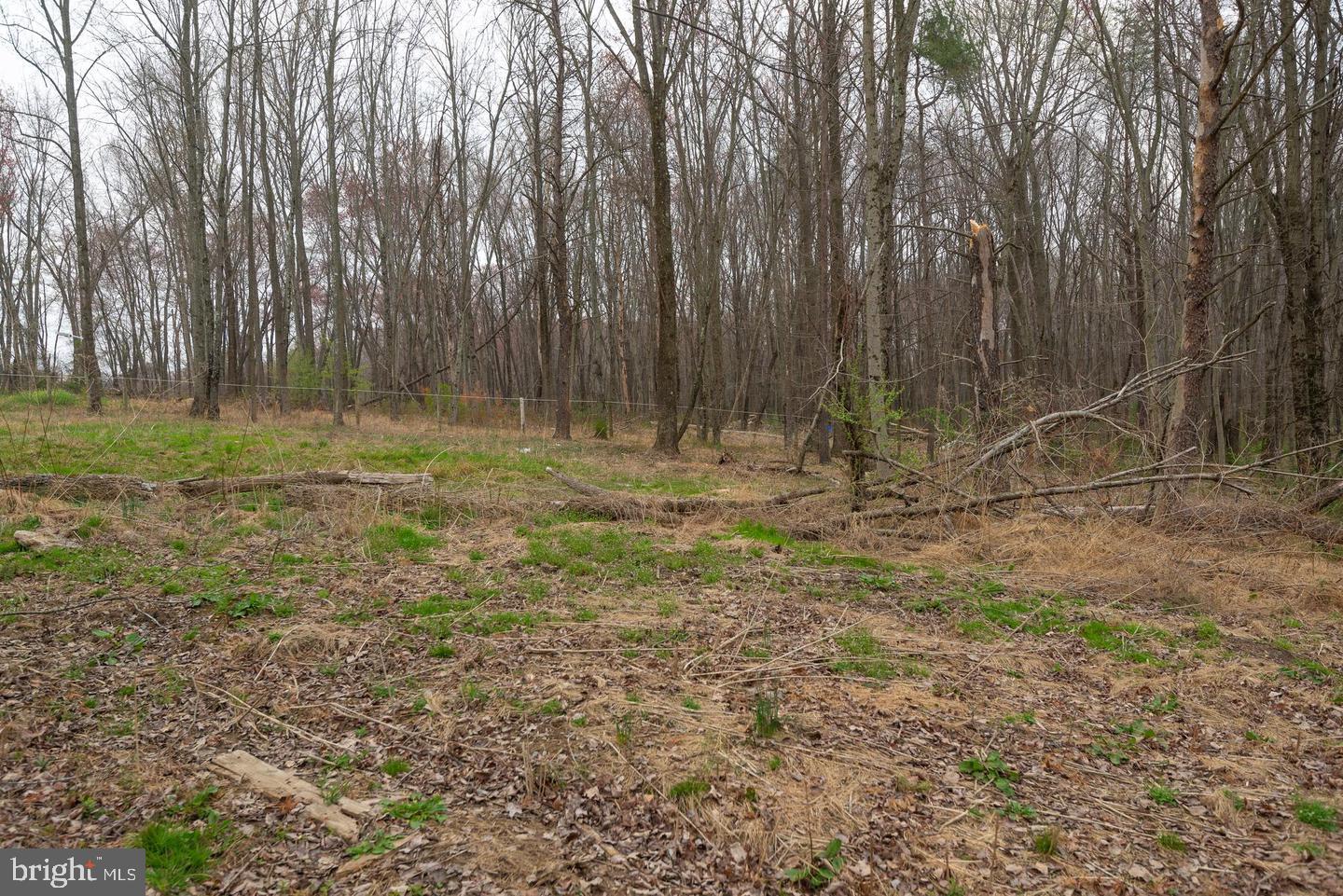 BEALLSVILLE - Farm