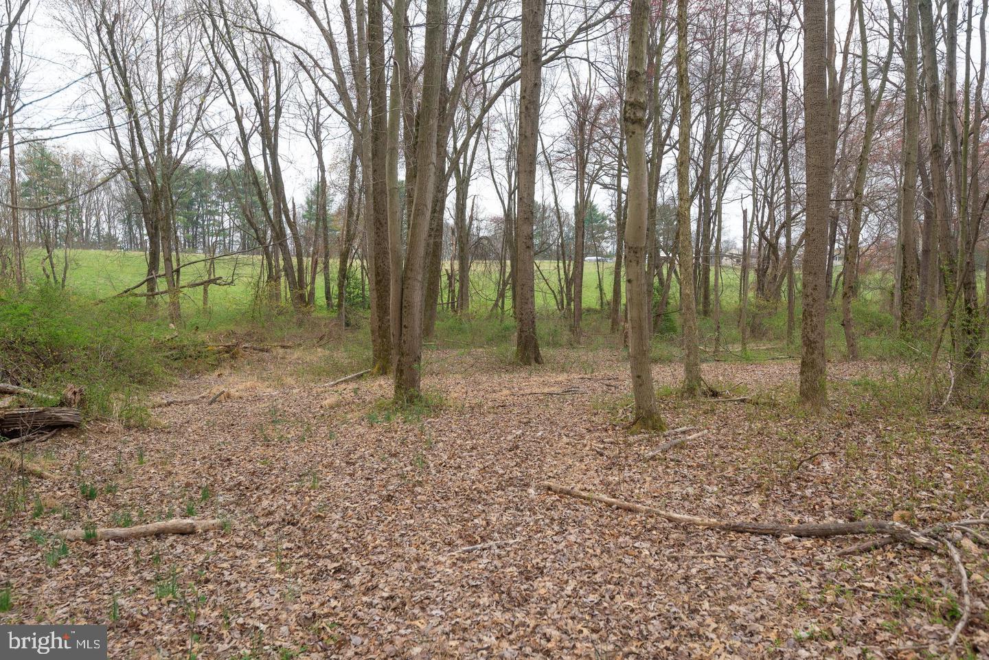BEALLSVILLE - Farm