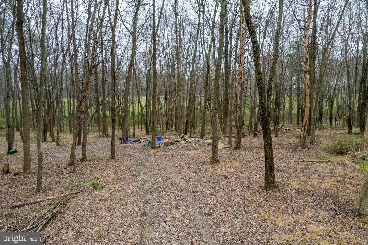BEALLSVILLE - Farm
