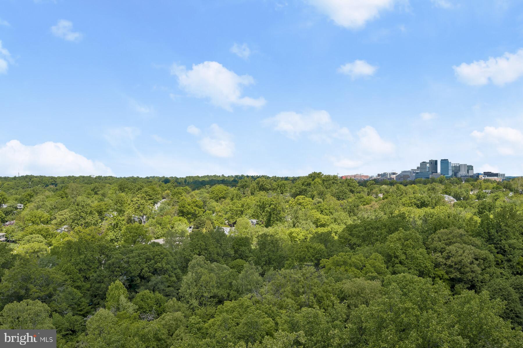 FRIENDSHIP HEIGHTS - Residential