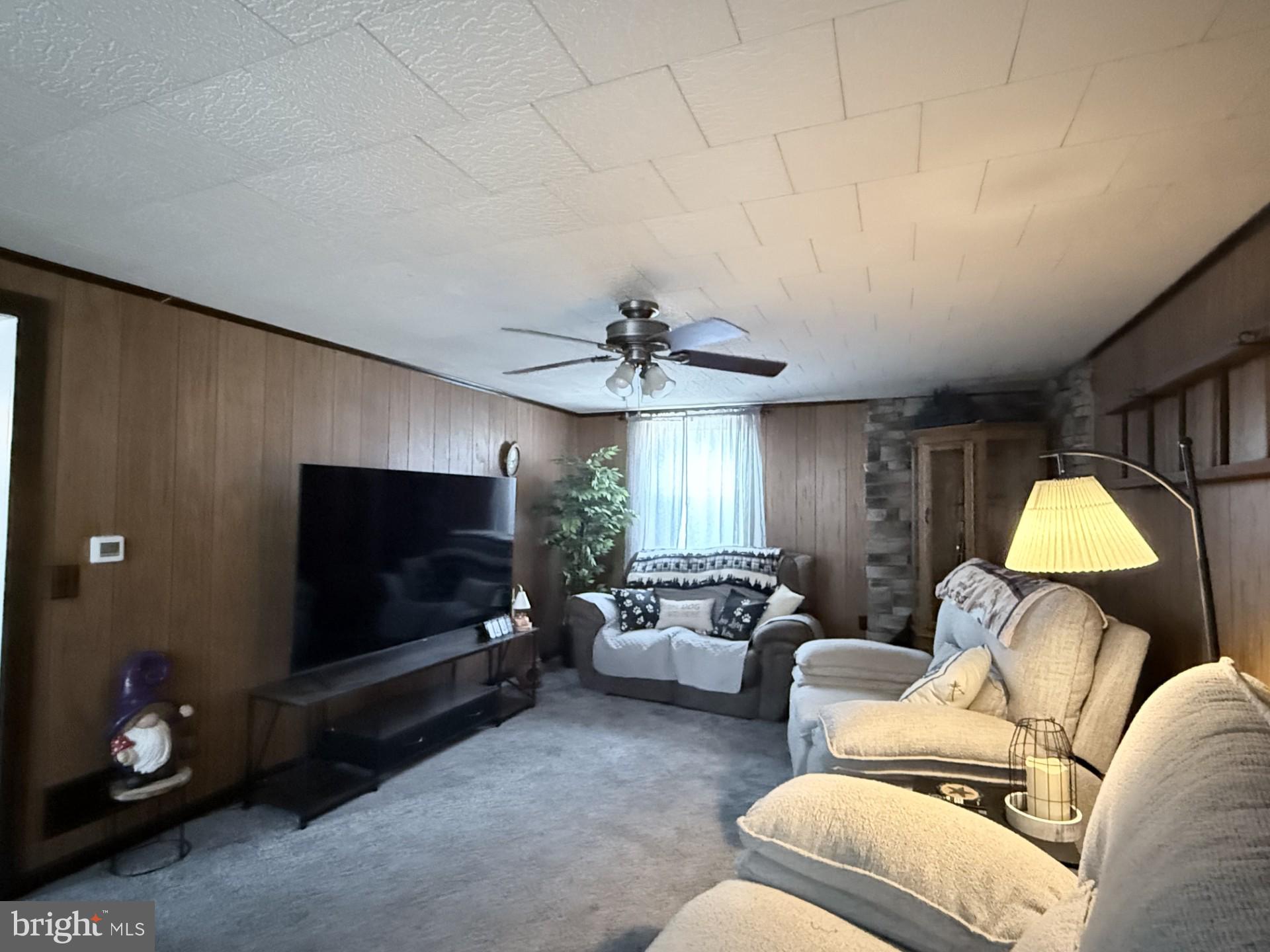 JONESTOWN BOROUGH - Residential