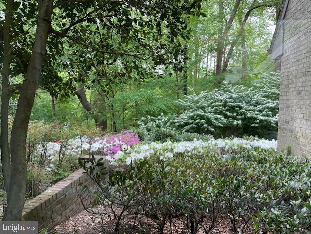 MERRYWOOD ON THE POTOMAC - Residential