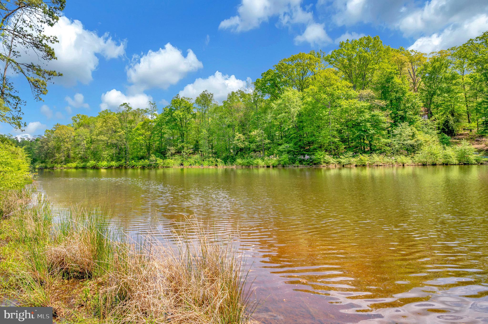 PRESIDNTIAL LAKE - Residential