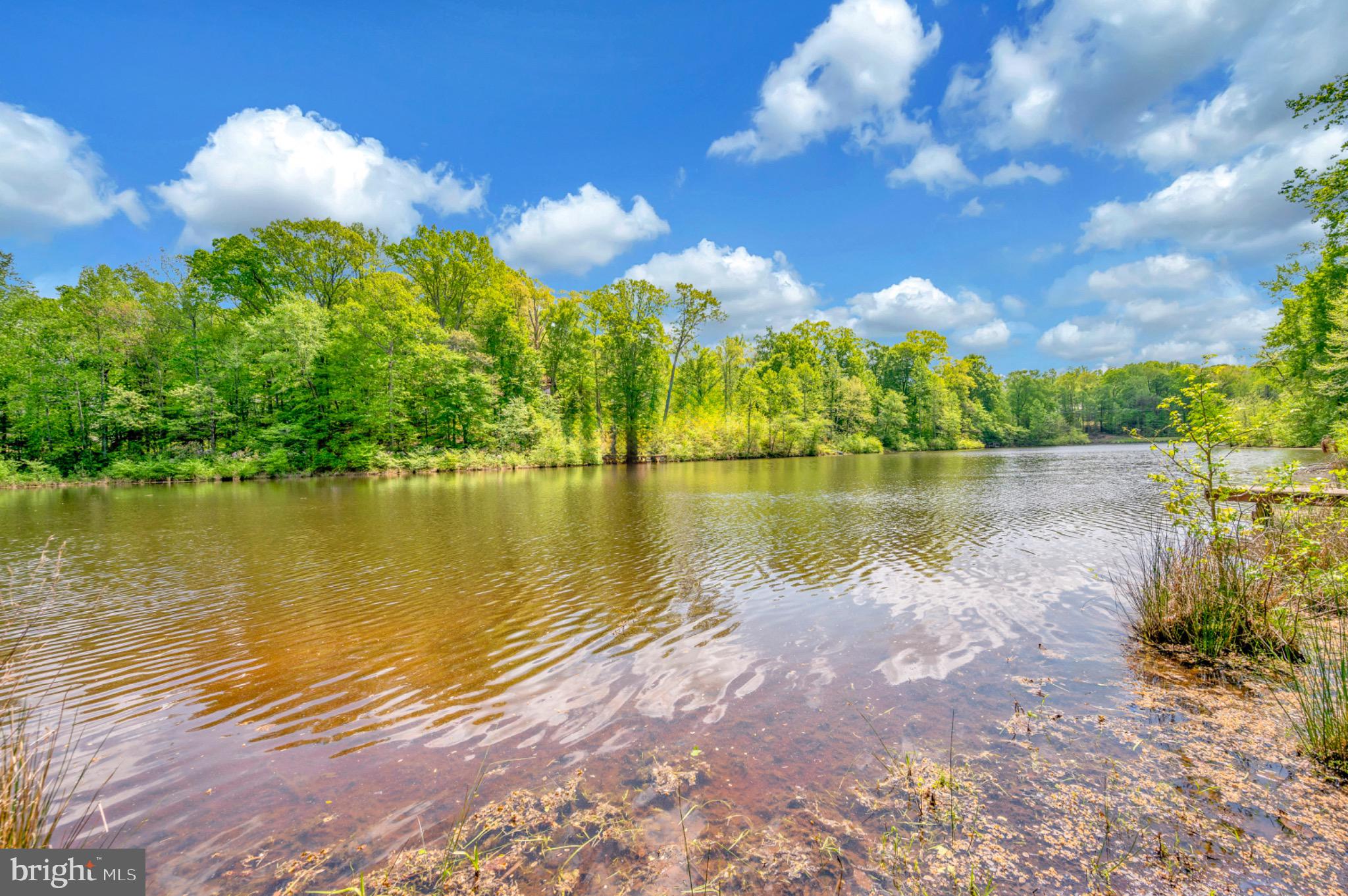 PRESIDNTIAL LAKE - Residential
