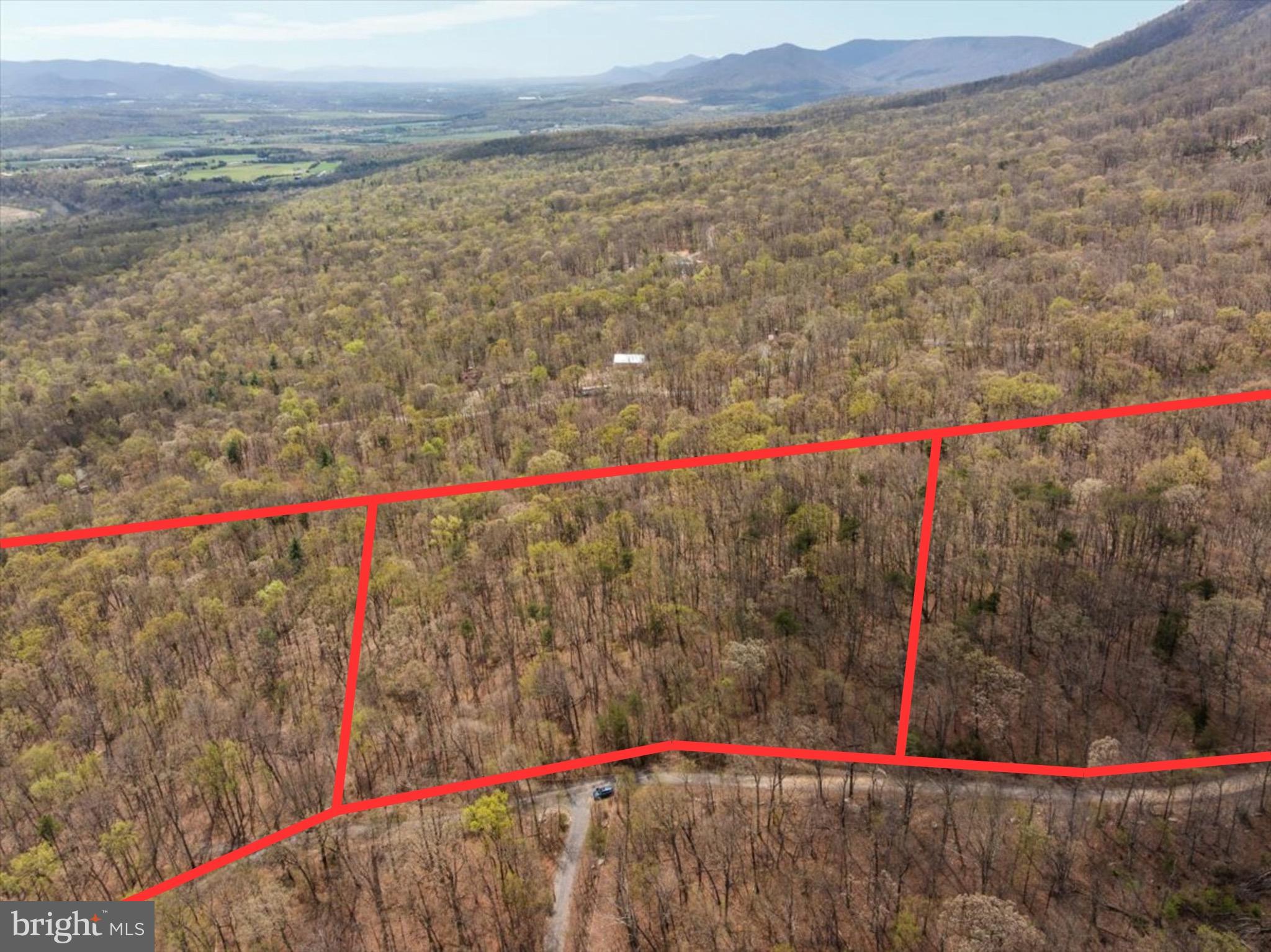 Discover the perfect blend of space, privacy, and convenience with this buildable 4-acre lot: ready for your vision. This property offers a rare opportunity to create your ideal home in a peaceful setting while still being within easy reach of nearby amenities. A soil test (5 BEDROOM Perc) has already been completed, saving you time and providing confidence as you move forward with construction. Even better, building plans are available, giving you a head start on designing your future home or the flexibility to customize to your preferences. Whether you’re looking to build a private retreat, a family home, or an investment property, this lot provides the space and potential to make it happen. Enjoy open land, natural surroundings, and the freedom to build at your own pace.