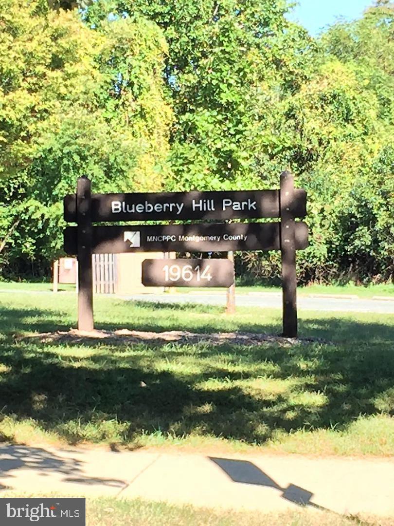 PARK OVERLOOK - Residential Lease