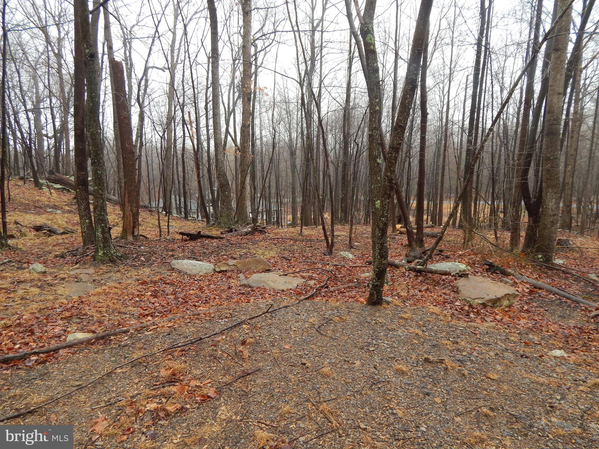 1.388 Acre lot in pristine subdivision with paved roads, underground utilities and community sewer system.      Perfected suited for a full time home or a weekend retreat.  Situated just 3.2 Miles from Cacapon Resort State Park, offering  6115 acres of outdoor activities, including golf on their 18-hole Robert Trent Jones golf course, swimming in the lake, paddle boats and canoeing, horseback riding, skeet shooting, playground, newly resurfaced tennis courts, paved basketball court or sand volleyball court and  vacation cabins. Two areas at the park, the lake and reservoir, offer fishing opportunities. The lake is stocked in the spring for trout fishing, but other fish that can be caught are bass, catfish and blue gill. The reservoir is not stocked.  The lodge, along with a restaurant, extend first-class service year-round, with a recent lodge expansion increasing the room inventory by 80 additional rooms including a fitness area, expanded food service, sauna and indoor/outdoor pool, as well as some golf course improvements.
