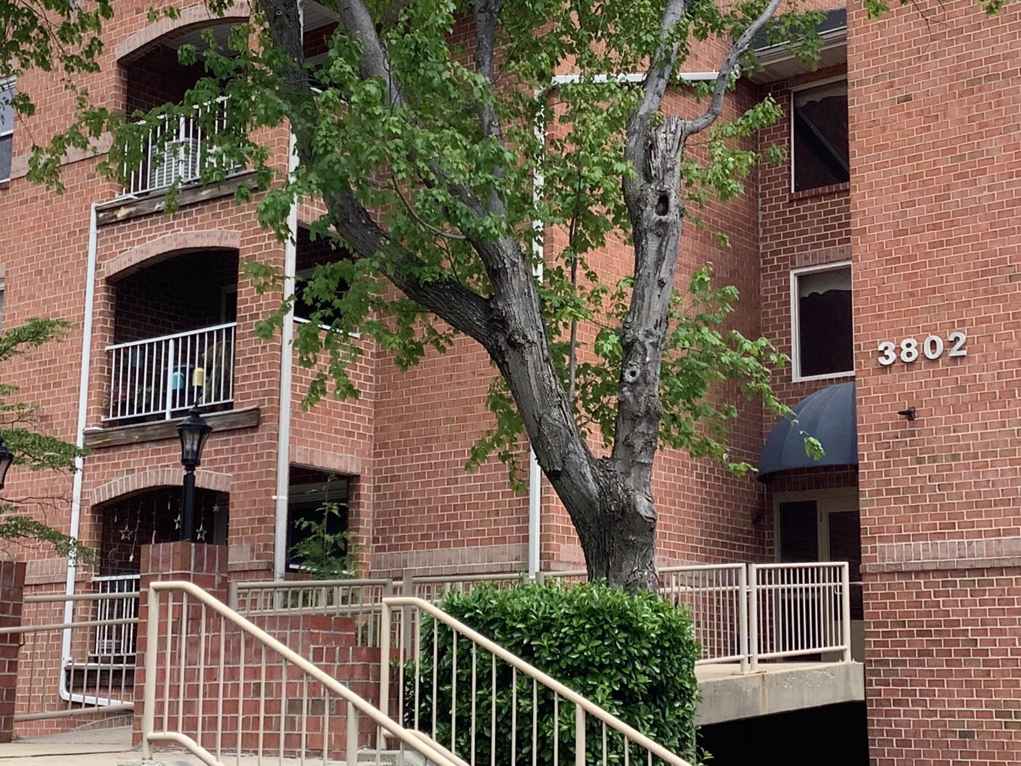 ** " PRICE IMPROVEMENT!!"** BACK ON THE MARKET!!! . Welcome to 3802  Wean Dr. Unit# 2E, Located in the desirable community of Silver  Ridge Condominium in the Heart of Nottingham, MD (21236). This Beautifully maintained condo offers the perfect blend of comfort, style, and convenience.
As you enter, you are welcomed by a spacious living room featuring warm wood floors that flow seamlessly into the gallery-style kitchen. The kitchen boasts a breakfast bar, abundant cabinetry, and a pantry to meet all your storage needs. Adjacent to the kitchen is a charming dining area that overlooks the private deck—ideal for entertaining or simply enjoying serene evenings outdoors.
Down the hallway, you’ll find the inviting Primary Bedroom, complete with an en-suite Bathroom and a generous walk-in closet. A second roomy bedroom awaits just beyond, followed by a well-appointed hallway Bathroom. The home is completed by a dedicated utility room equipped with a Washer and Dryer for added convenience. There is a Storage unit for Your Convenience.
This exceptional home Just Had a  Priced Improvement  to sell and will not last long.
Schedule your appointment today—and feel free to reach out with any questions.