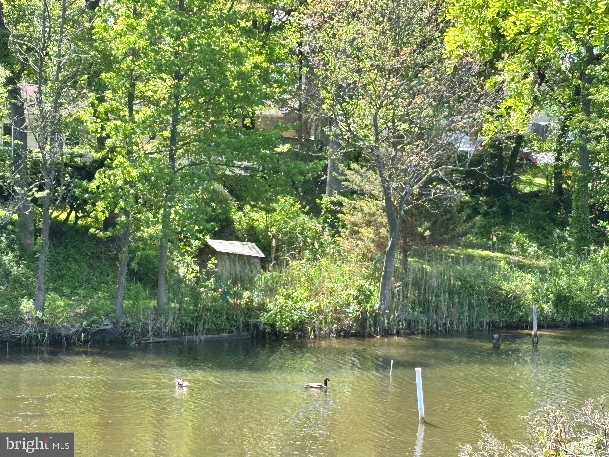 PINE HAVEN - Residential