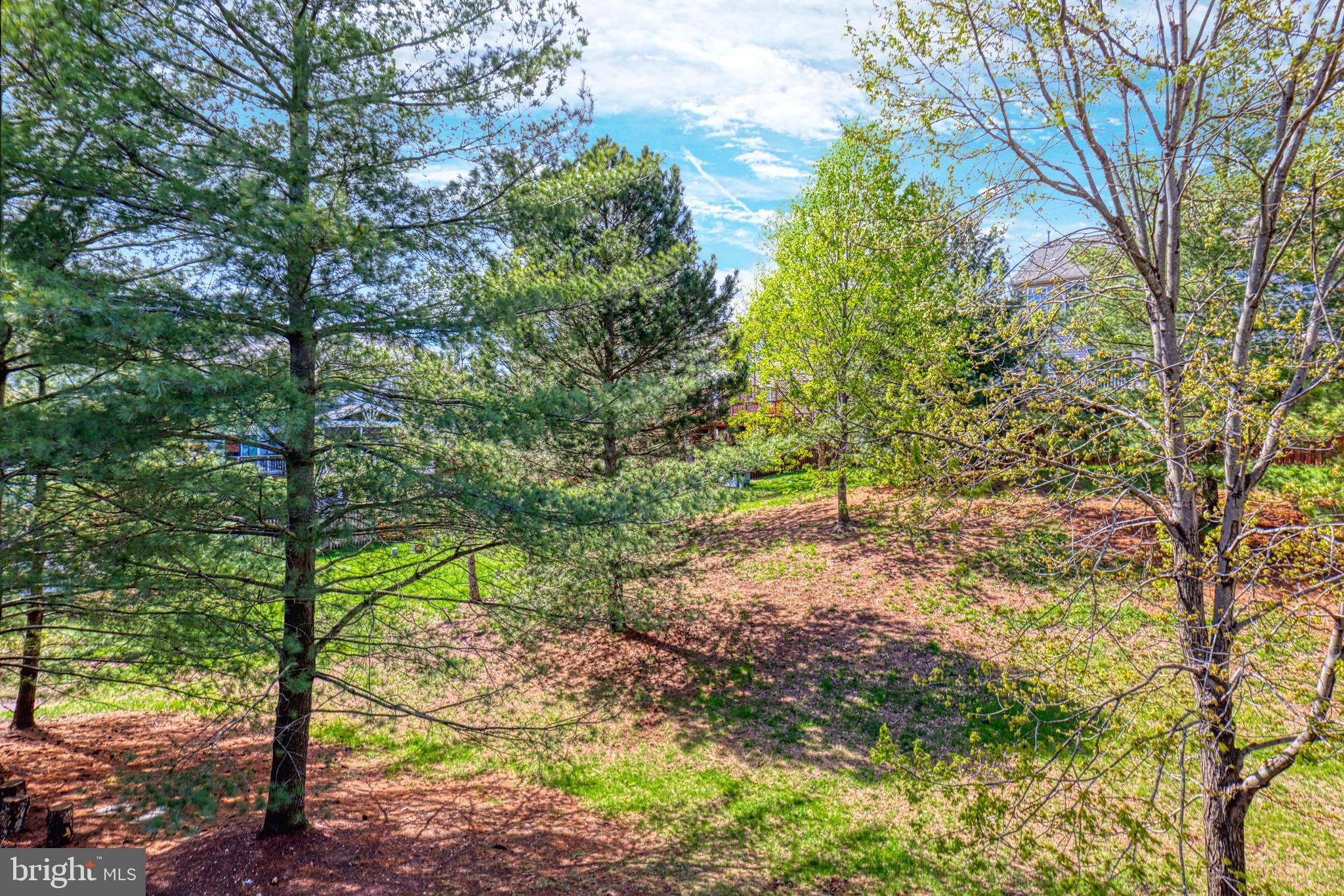 ASHBURN VILLAGE - Residential