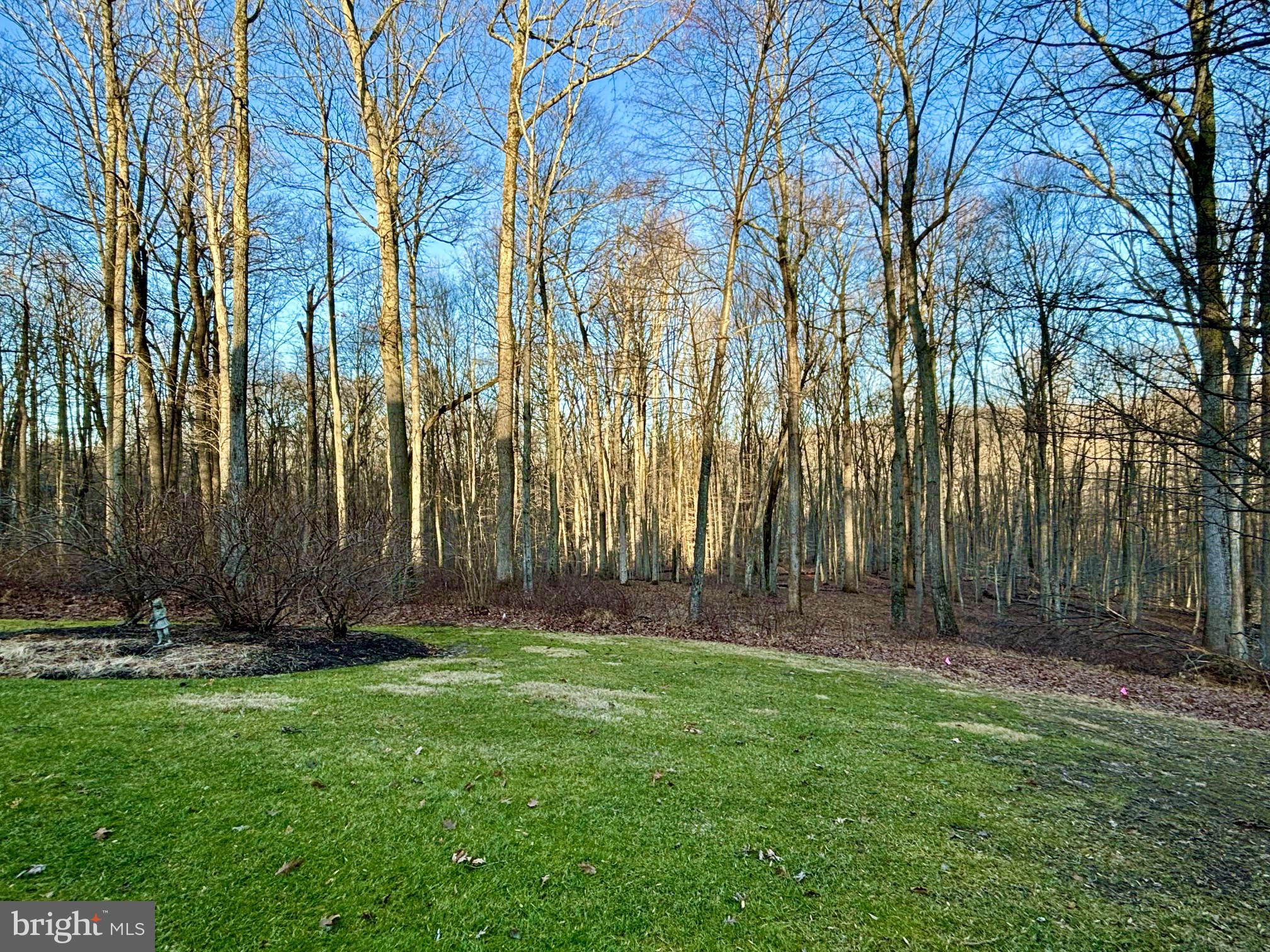 WESLEY CHAPEL WOODS - Residential