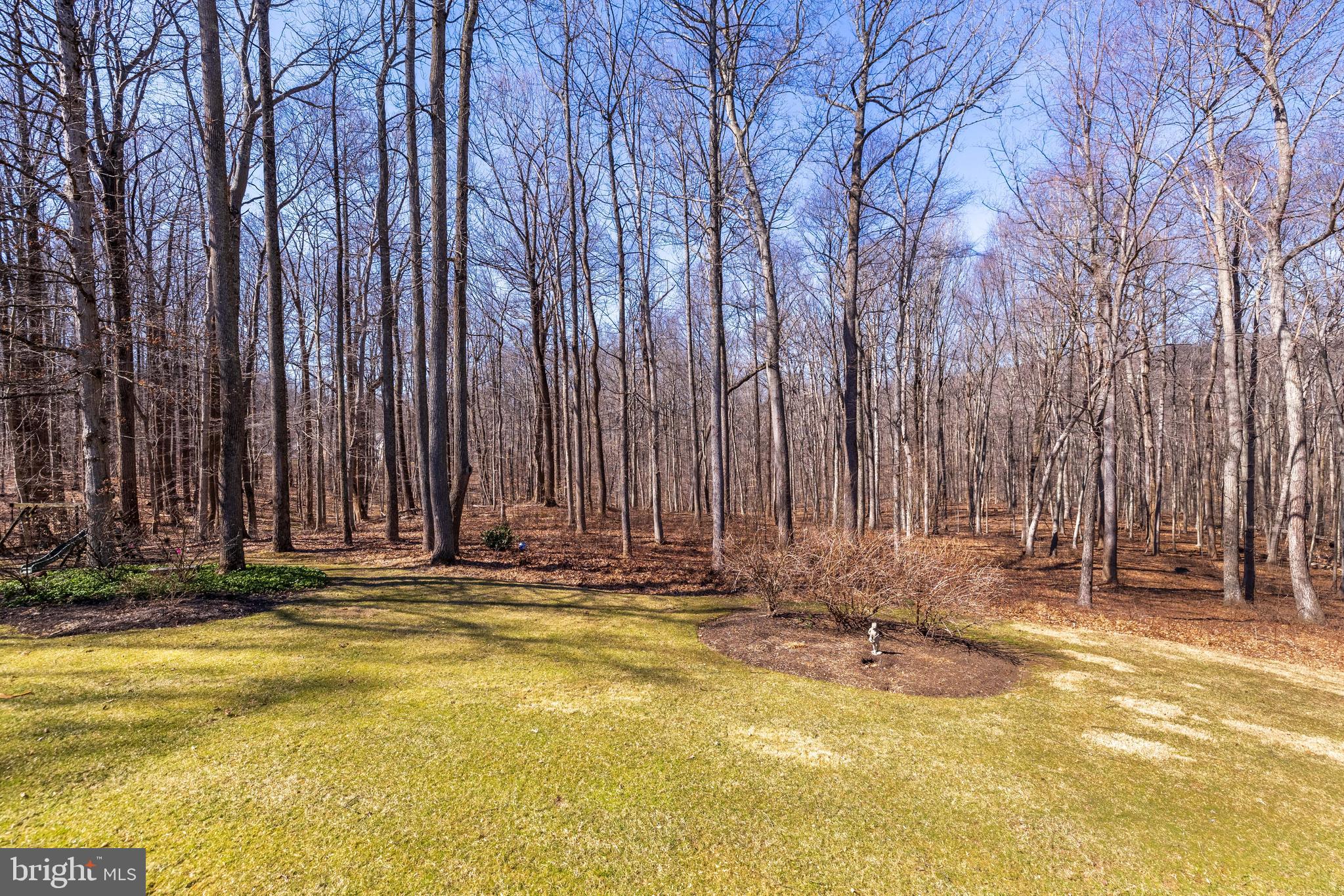 WESLEY CHAPEL WOODS - Residential