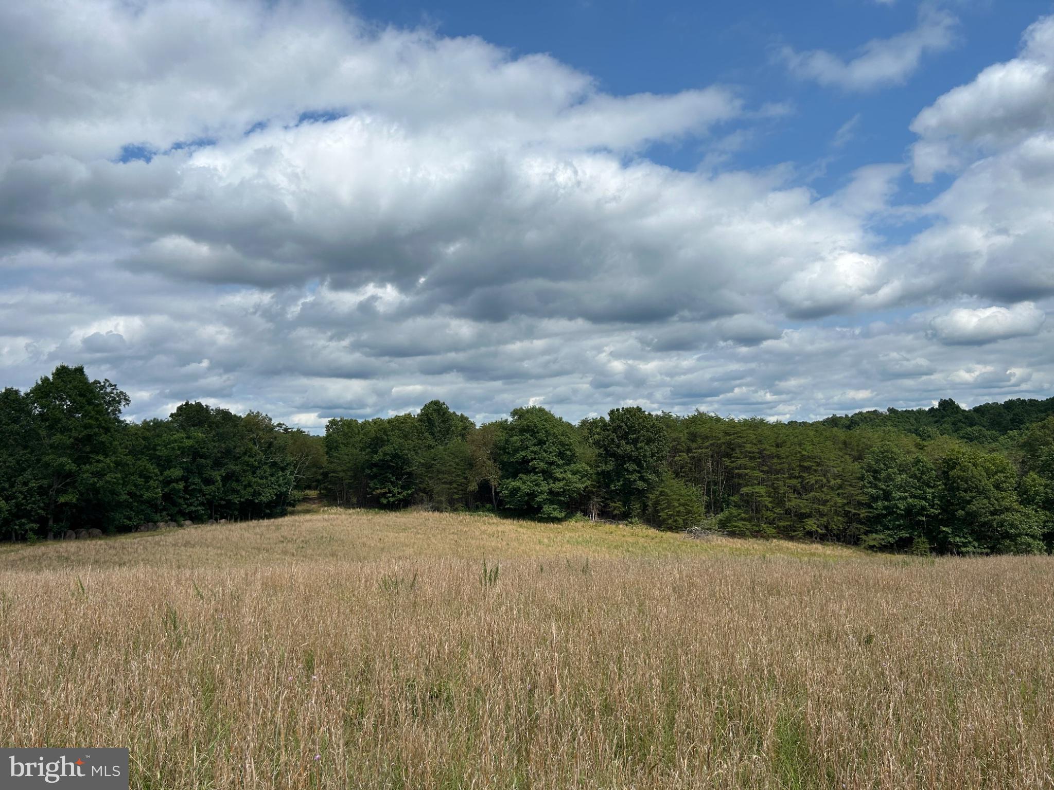 Discover the possibilities with this beautiful 20.2-acre property offering the perfect blend of privacy, natural beauty, and opportunity. Featuring a mix of mature woods and a spacious open field, this versatile parcel is ideal for outdoor recreation, hunting, or creating your own private retreat.

With a recorded dominant easement for ingress and egress, you’ll enjoy convenient access while maintaining the peaceful seclusion that makes this property so special. Whether you’re dreaming of building your custom home surrounded by nature or looking for a weekend getaway to enjoy the outdoors, this land provides the perfect canvas to bring your vision to life.

Don’t miss the chance to own a slice of the countryside where you can create the lifestyle you’ve always imagined.