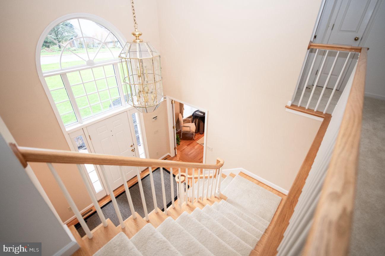 WALTON SPRING HILLS - Residential
