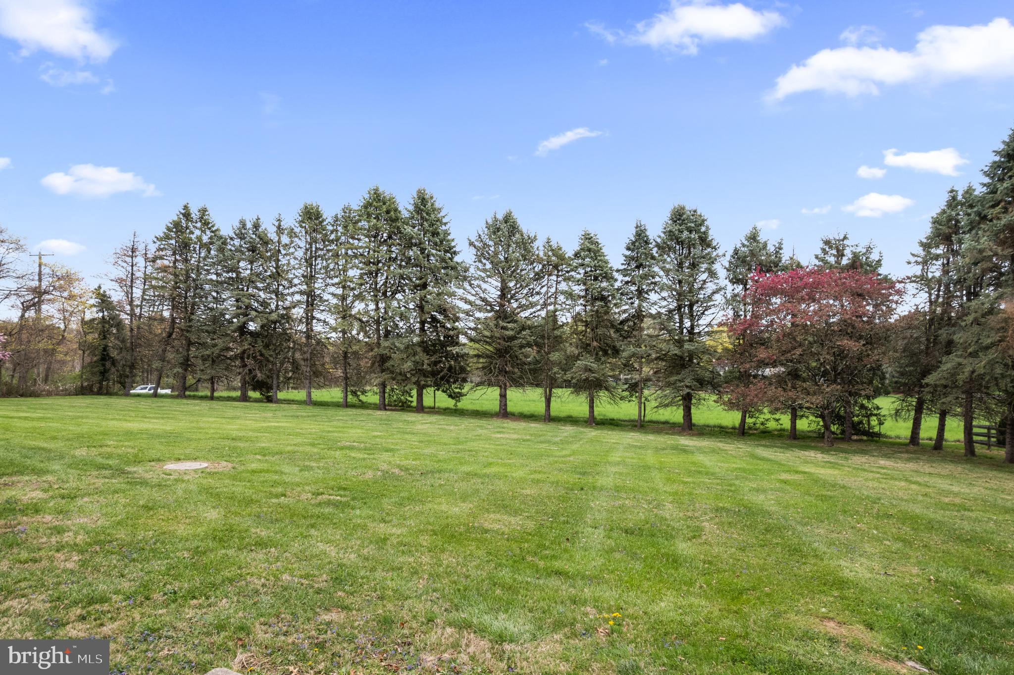 PHEASANT RIDGE - Residential