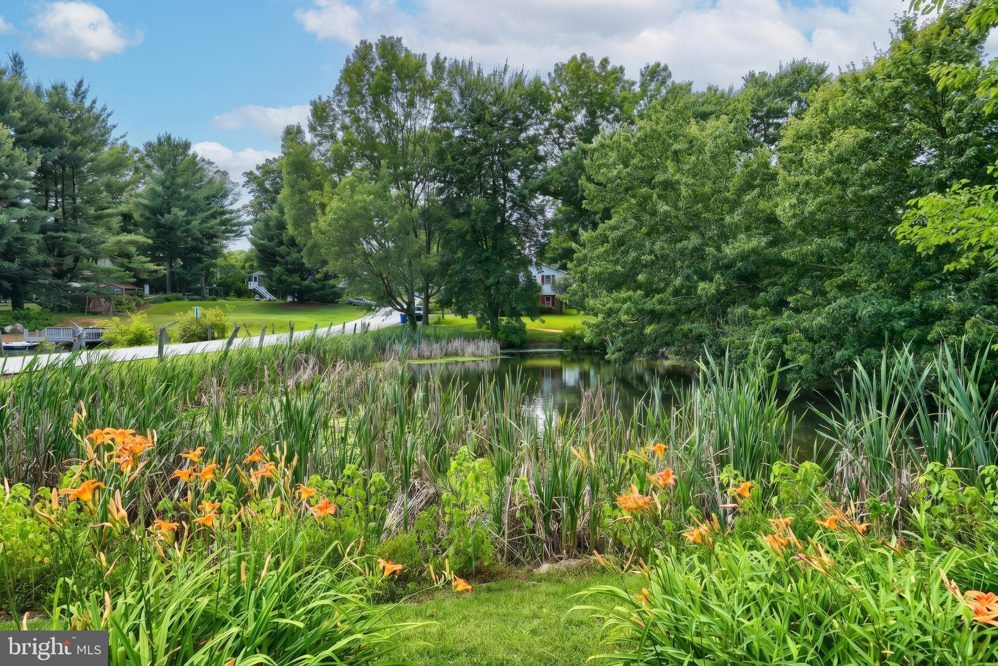FOREST LAKES - Residential