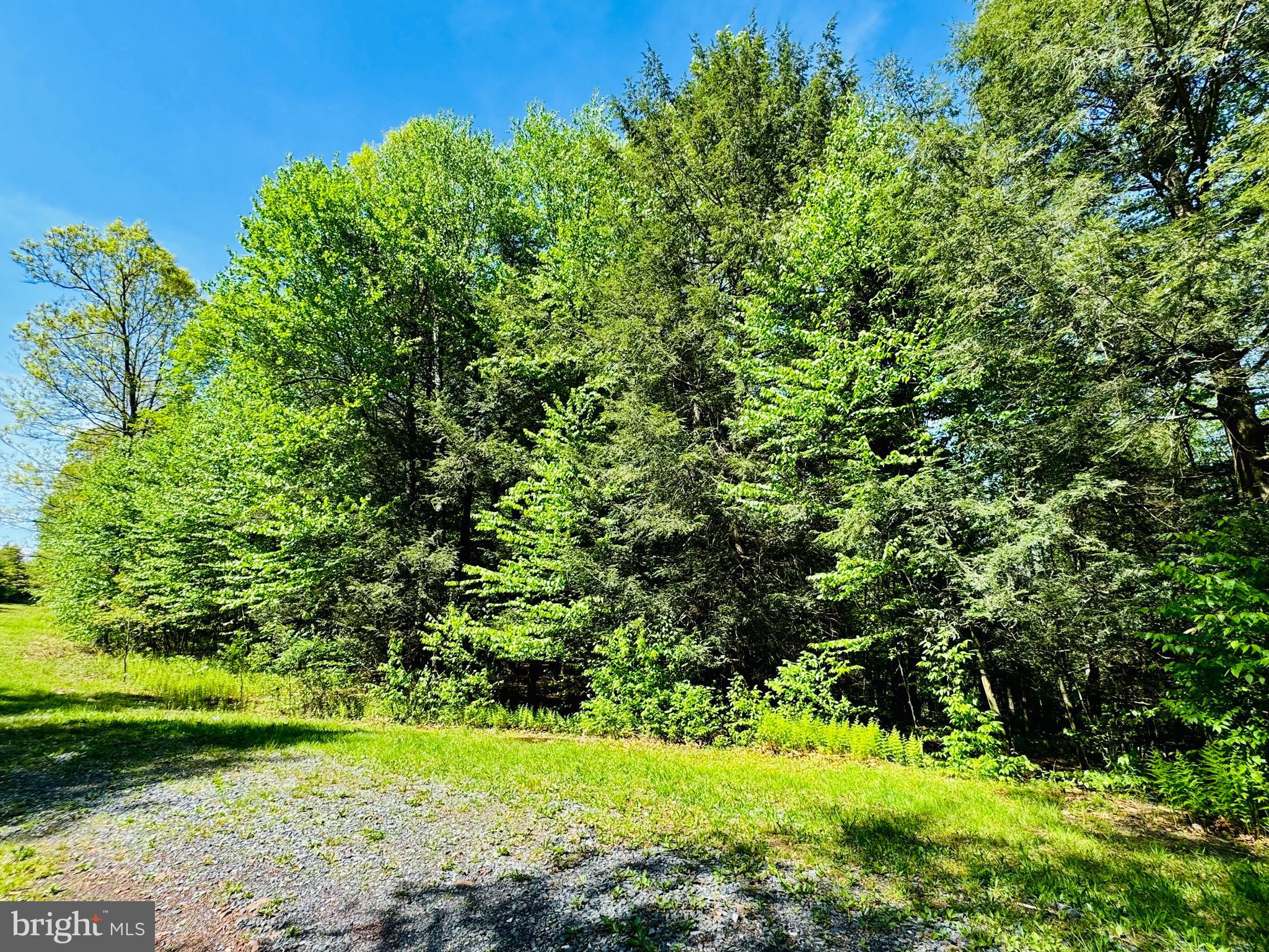 Nestled in the woods adjacent to Trough Creek State Park and less than 5 miles from Raystown Lake, these lots give you the perfect opportunity to build your dream home immersed in nature. With 38 plus acres of shared common open space, Paradise Point parcel owners can enjoy fishing the stocked trout stream, picnicking, and exploring trails. Lots have the option to run underground electric and cable to each site. Perc tested.