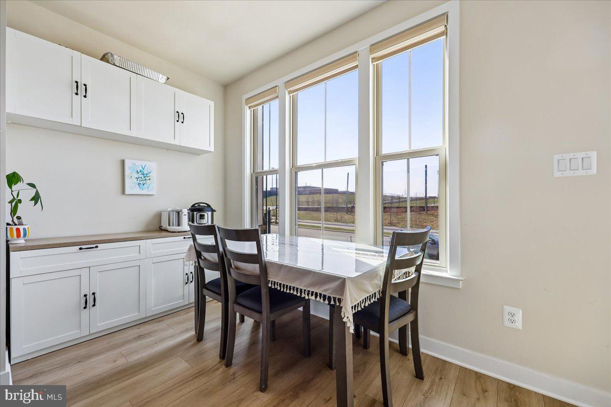 LAKE LINGANORE TOWN CENTER - Residential