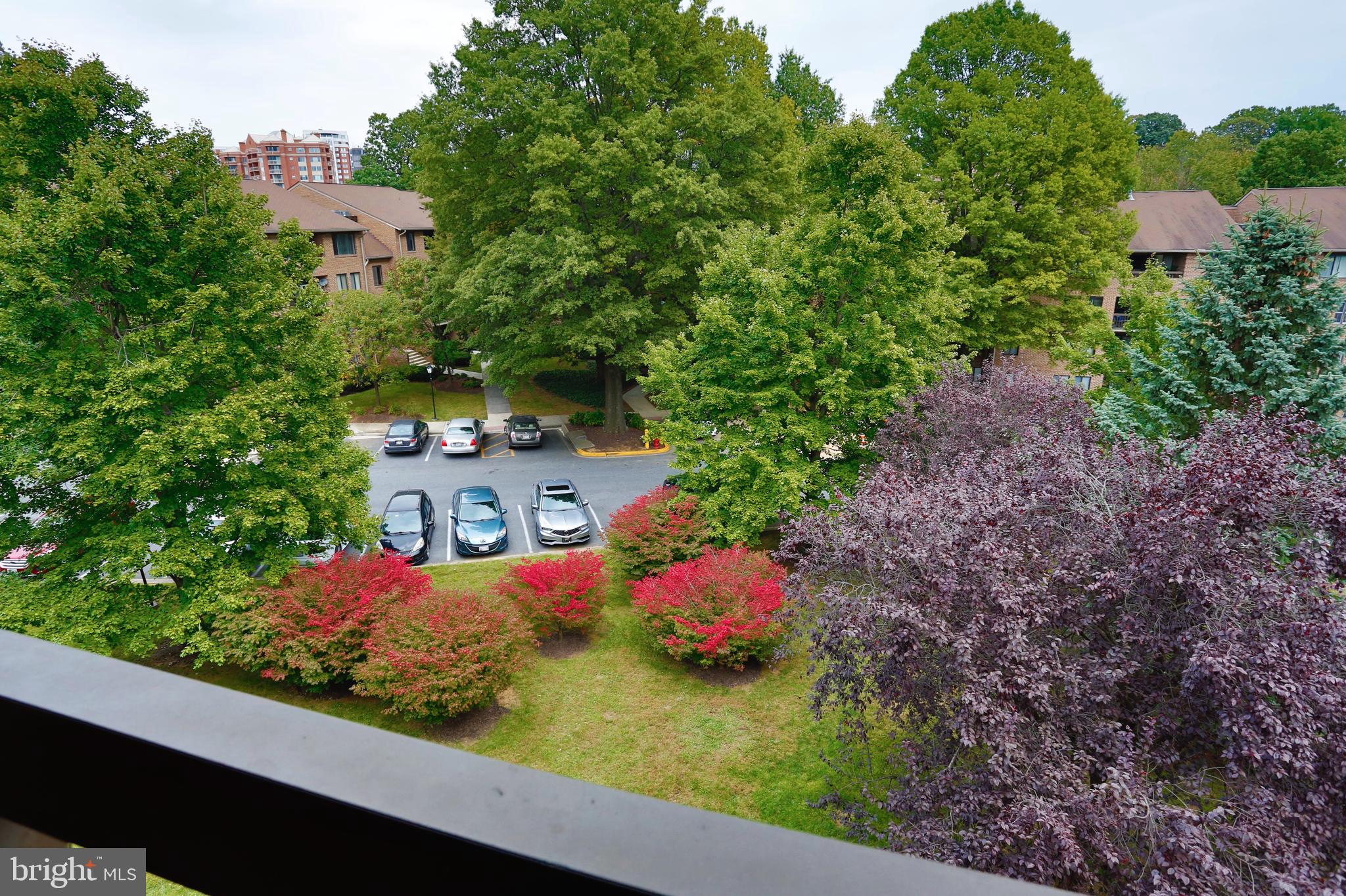 GEORGETOWN VILLAGE - Residential