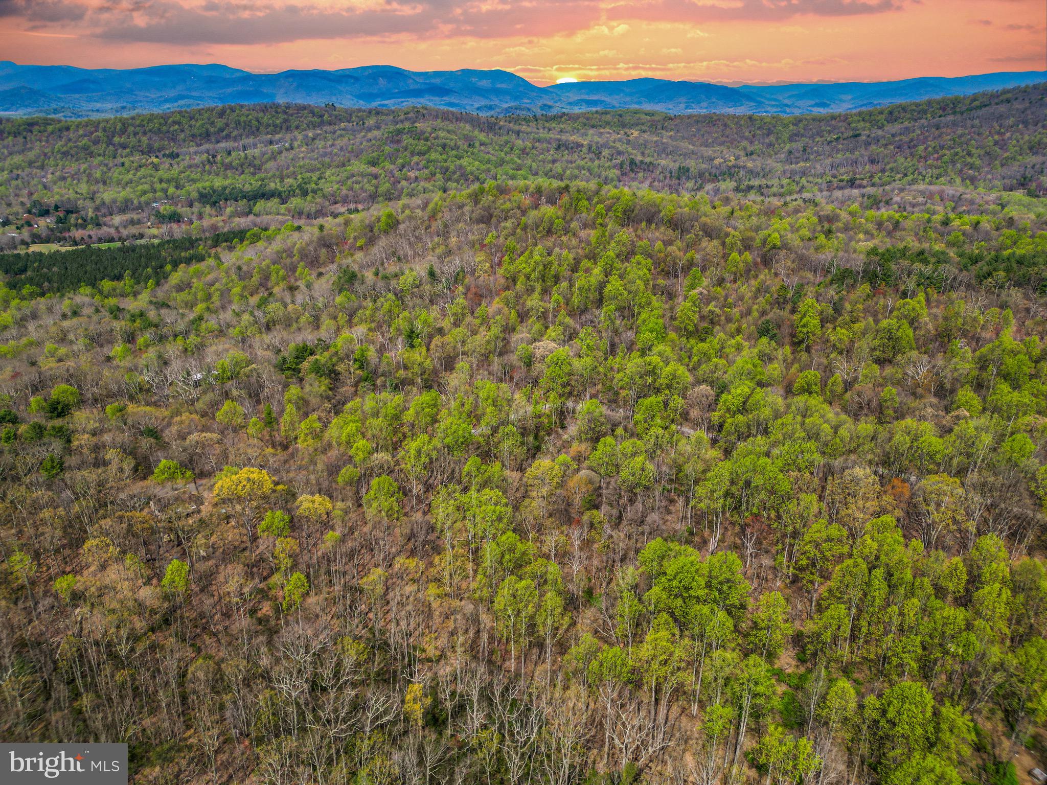 This remarkable 25-acre parcel offers over 1,100 feet of frontage along Castleton View Road and unfolds into a private, storybook landscape of mature hardwood forest, rock outcroppings, and a modest natural spring. Towering trees create a lush canopy overhead, while filtered sunlight dances across moss-covered stone and gently rolling terrain.
The land feels both expansive and intimate — offering multiple potential homesites tucked within the forest while maintaining privacy and natural beauty. 
Whether you envision a secluded cabin retreat, a thoughtfully designed modern residence immersed in nature, or simply a long-term investment in one of Rappahannock County’s most beautiful settings, this property offers rare road frontage, accessibility, and the kind of quiet magic that is increasingly difficult to find.
If you’ve been searching for land that feels untouched yet approachable, private yet accessible — this is your opportunity to own a piece of woodland serenity in the heart of Rappahannock County.