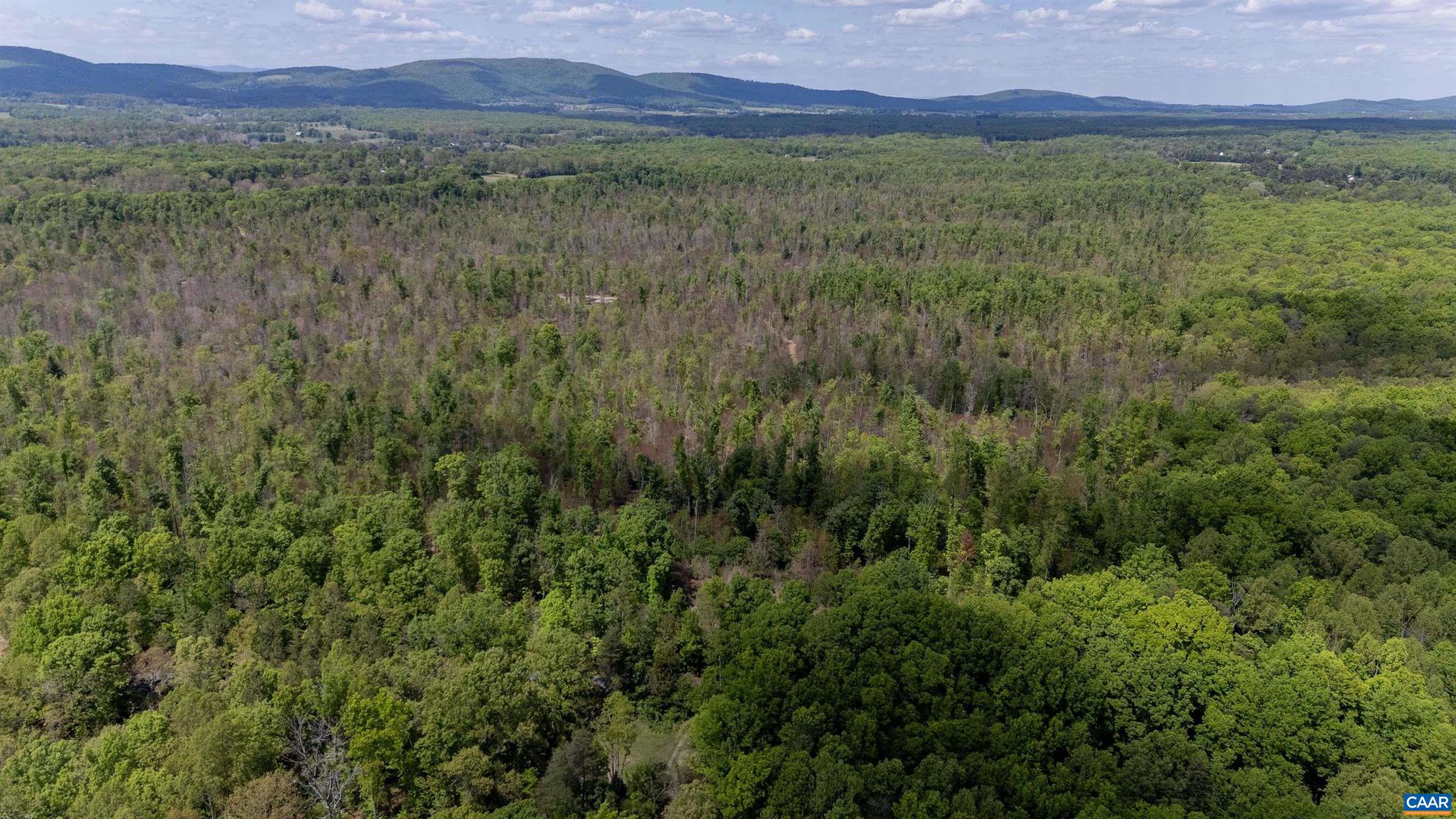 314.52 Acres on Paddock Wood Rd ? Endless Possibilities Await! Discover the perfect blend of privacy, natural beauty, and investment potential with this expansive 314.52-acre property. Whether you're looking to build your dream home, create a private retreat, or secure your next investment, this remarkable parcel offers unlimited opportunities. Enjoy the serene setting with a creek flowing through the property?ideal for those who appreciate nature, peace, and scenic surroundings. Conveniently located just minutes from Zion Crossroads with easy access to I-64, this property offers the best of both worlds: seclusion without sacrificing accessibility. You?re only approximately 27 minutes from the Town of Orange and about an hour from Richmond. Don?t miss your chance to own a rare piece of land with incredible potential!